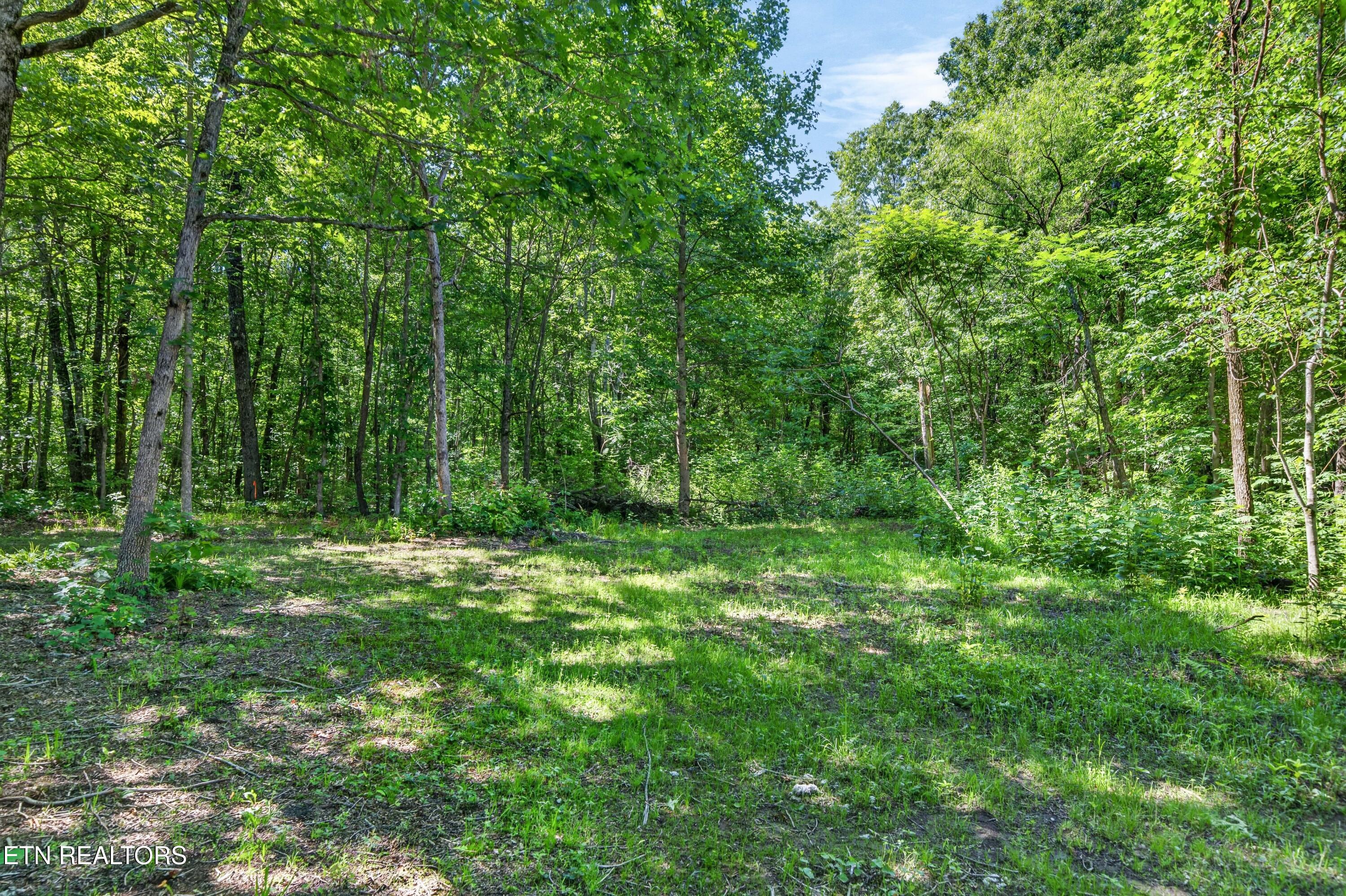 16588 Highway 70 Monterey TN 38574