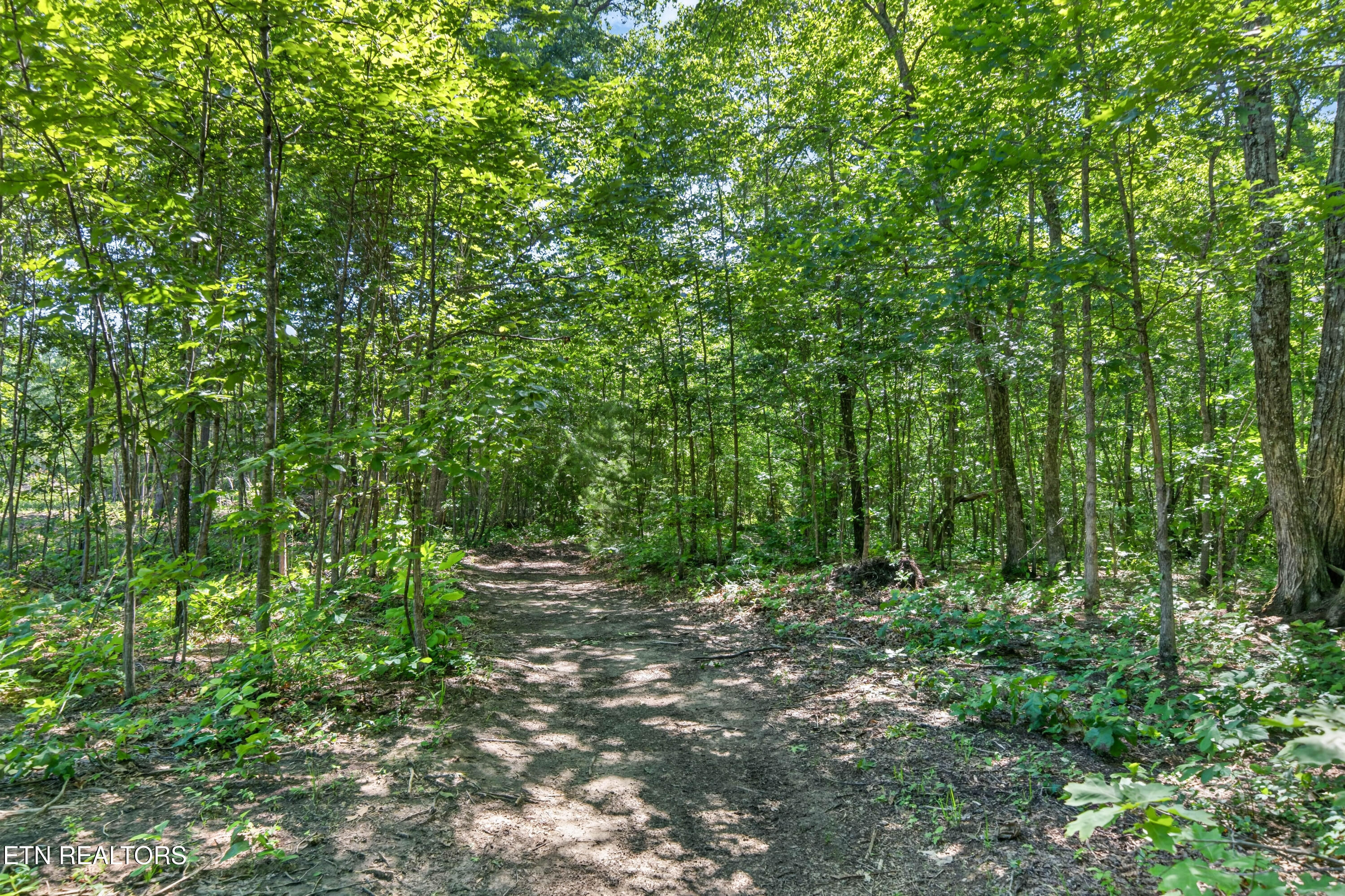 16588 Highway 70 Monterey TN 38574