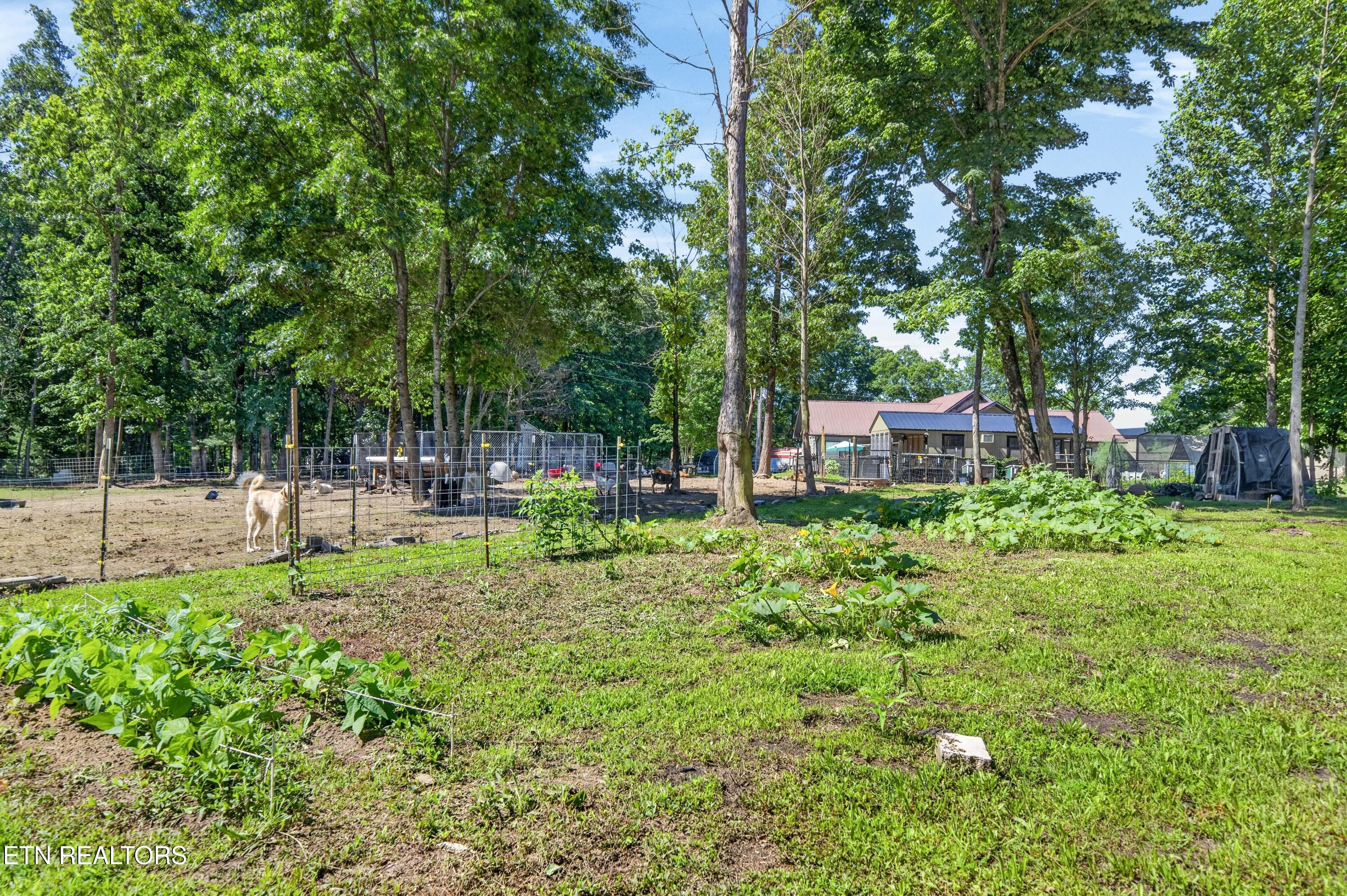 16588 Highway 70 Monterey TN 38574