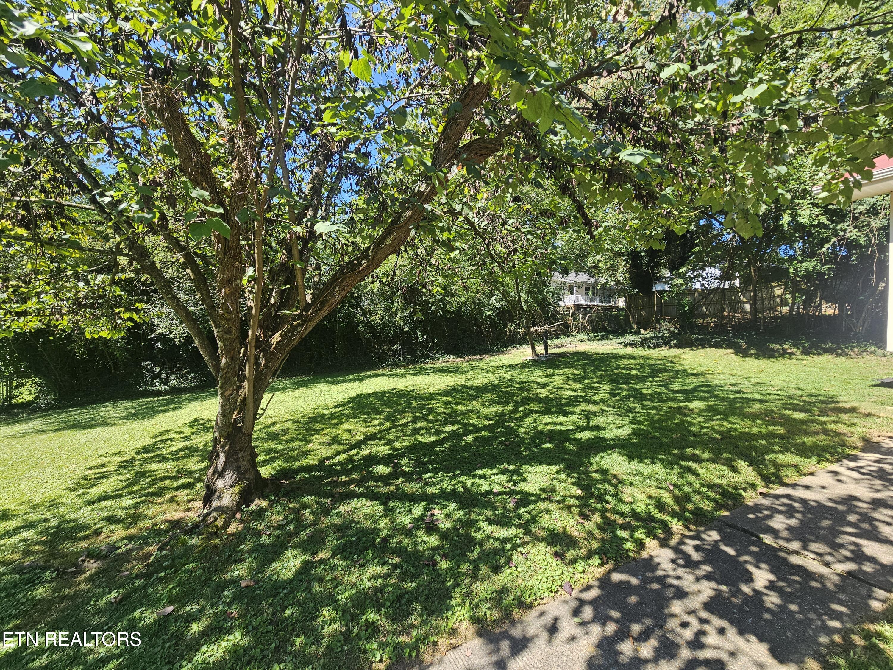 114 Gorgas Lane Oak Ridge TN 37830