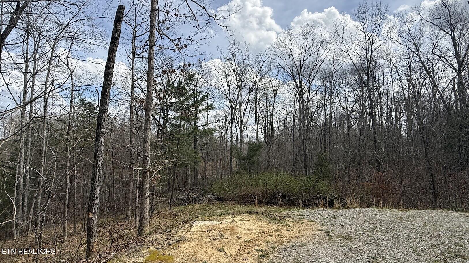 822 Spruce Creek Drive Jamestown TN 38556