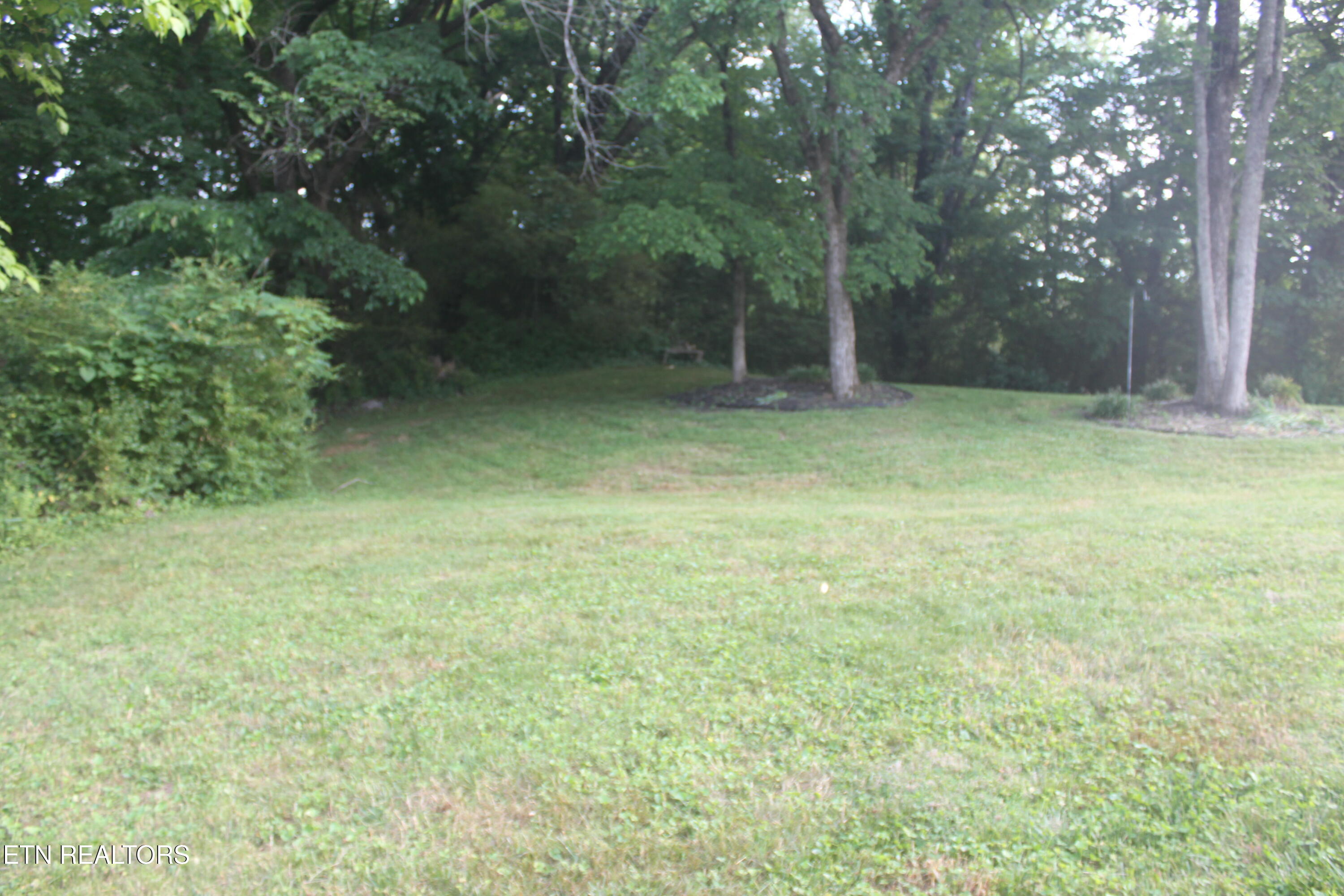 172 Depew Drive Loudon TN 37774