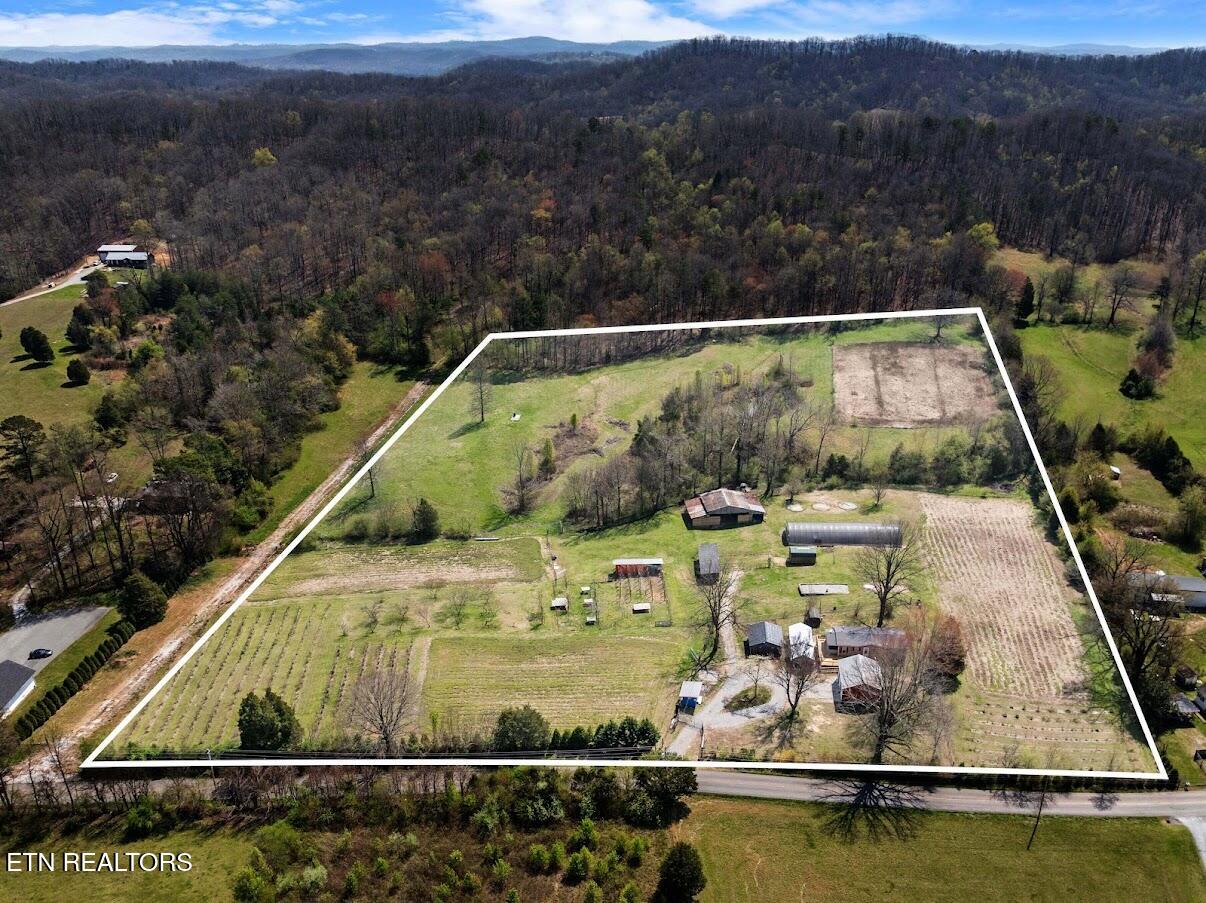 1247 Post Oak Valley Road Rockwood TN 37854