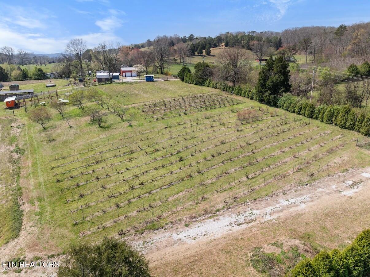 1247 Post Oak Valley Road Rockwood TN 37854