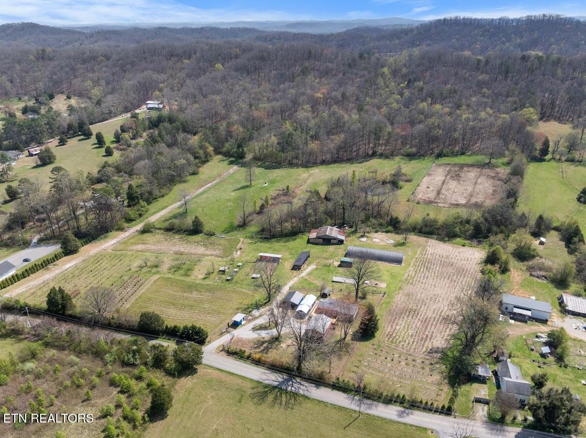 1247 Post Oak Valley Road Rockwood TN 37854