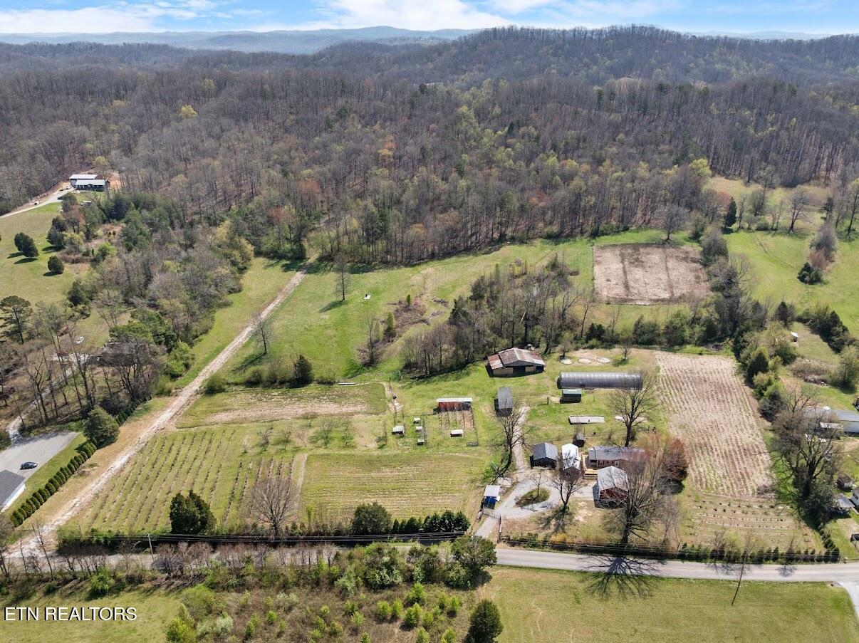 1247 Post Oak Valley Road Rockwood TN 37854
