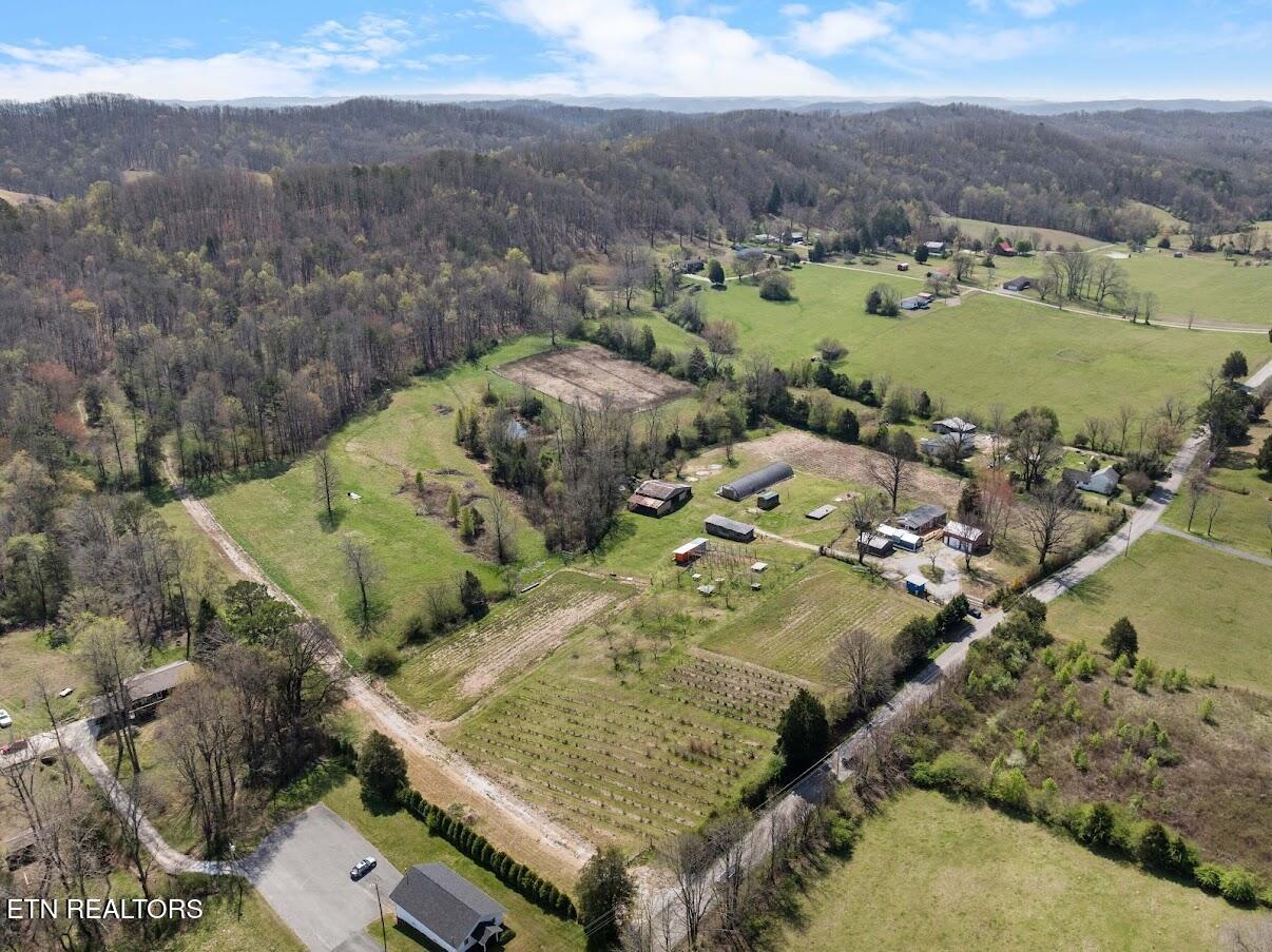 1247 Post Oak Valley Road Rockwood TN 37854
