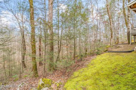 151 Sequoyah Village Road Townsend TN 37882