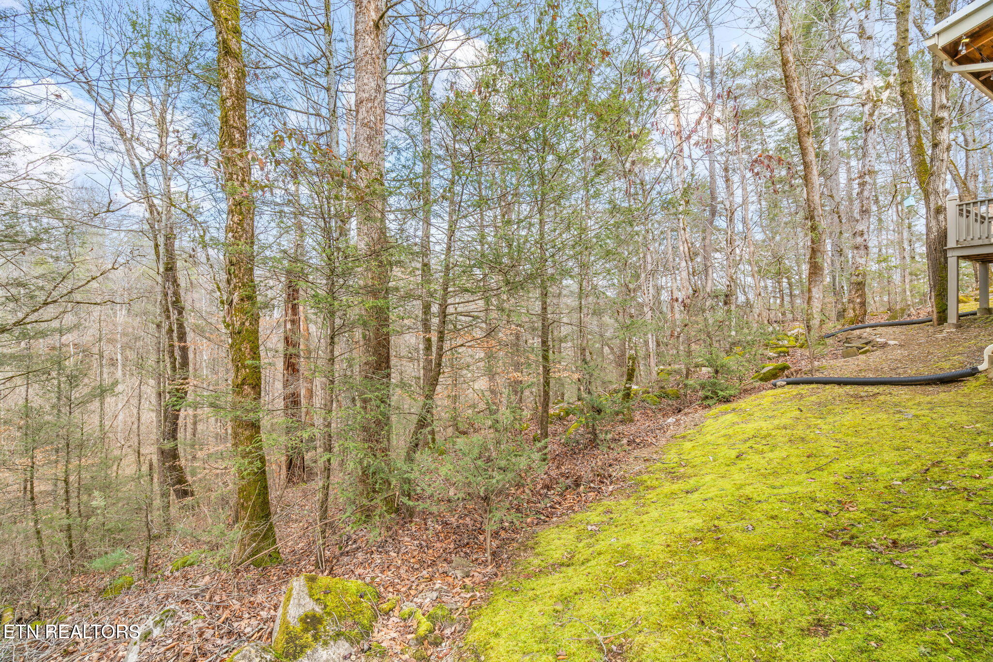 151 Sequoyah Village Road Townsend TN 37882