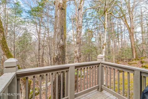 151 Sequoyah Village Road Townsend TN 37882