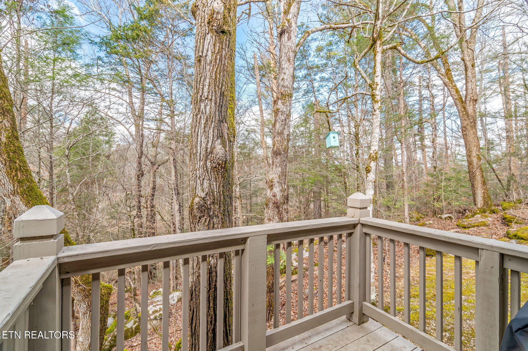 151 Sequoyah Village Road Townsend TN 37882