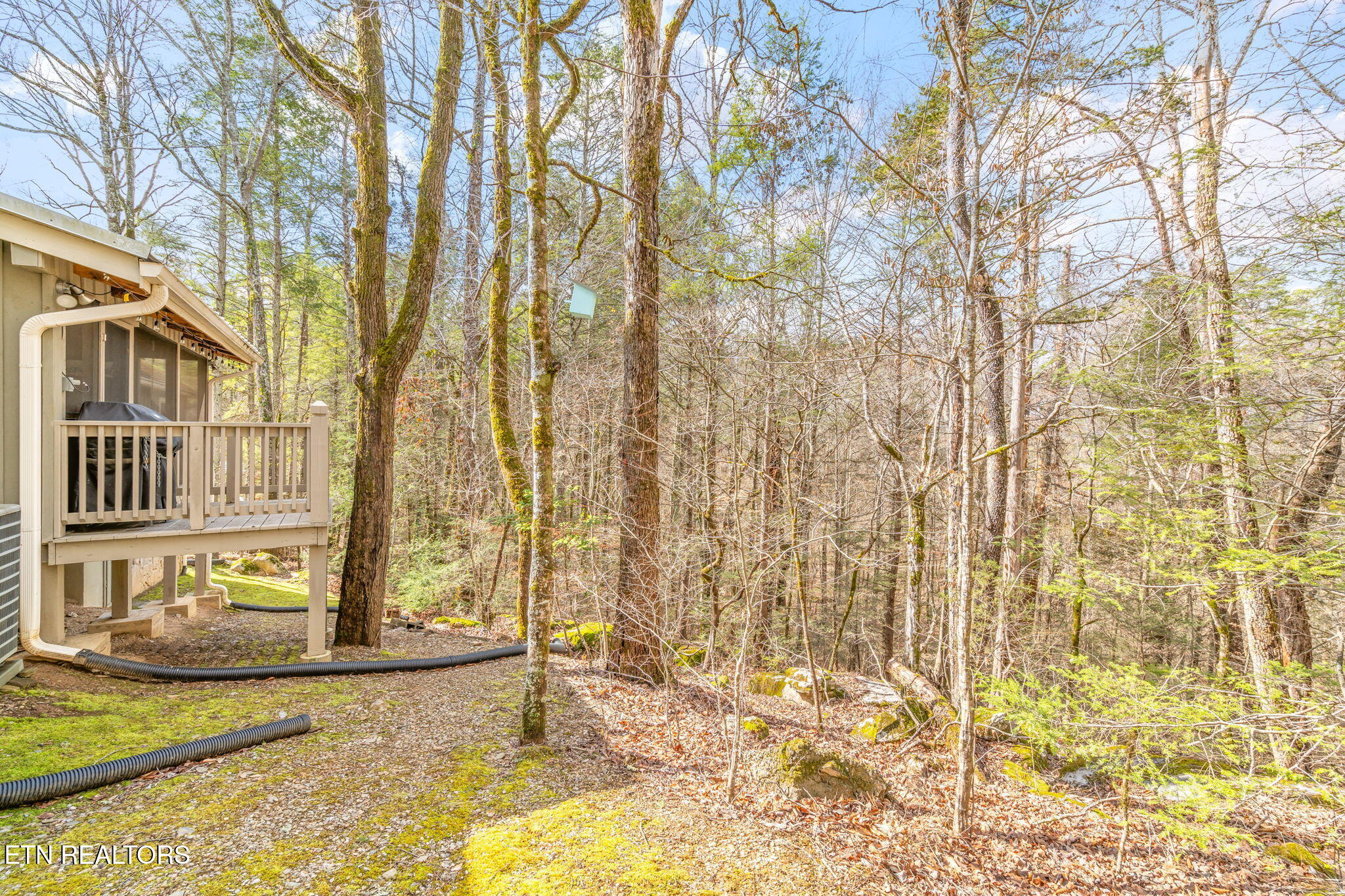 151 Sequoyah Village Road Townsend TN 37882