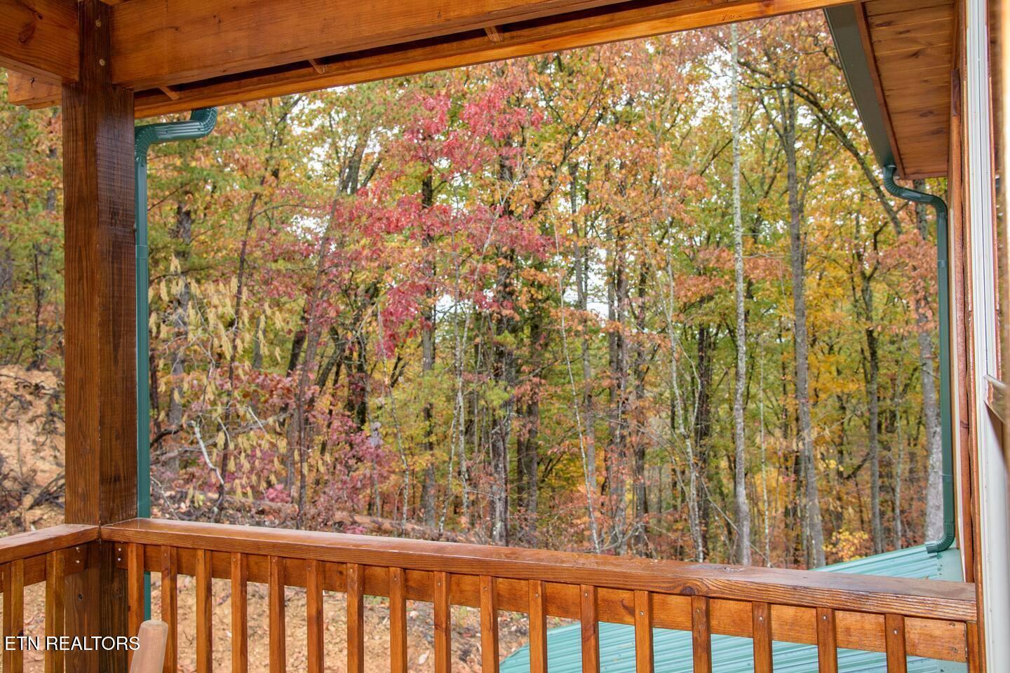 834 String Run Way Pigeon Forge TN 37863