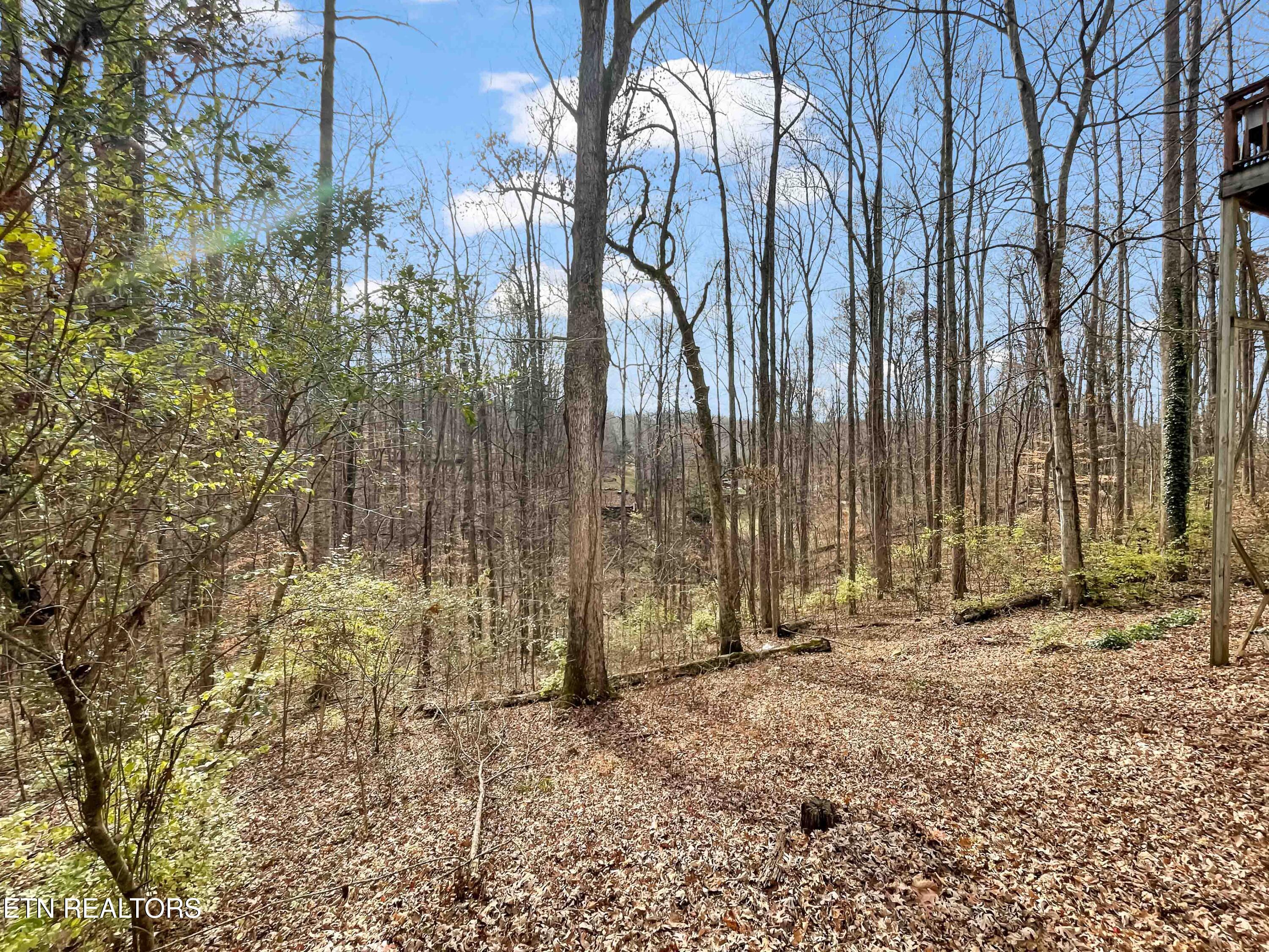153 Autumn Drive Clinton TN 37716