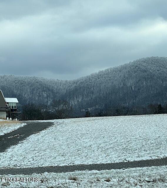 174 County Line Road Dandridge TN 37725