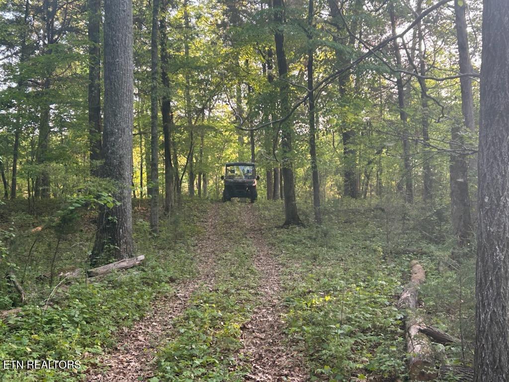 481 Loop Road Rockwood TN 37854