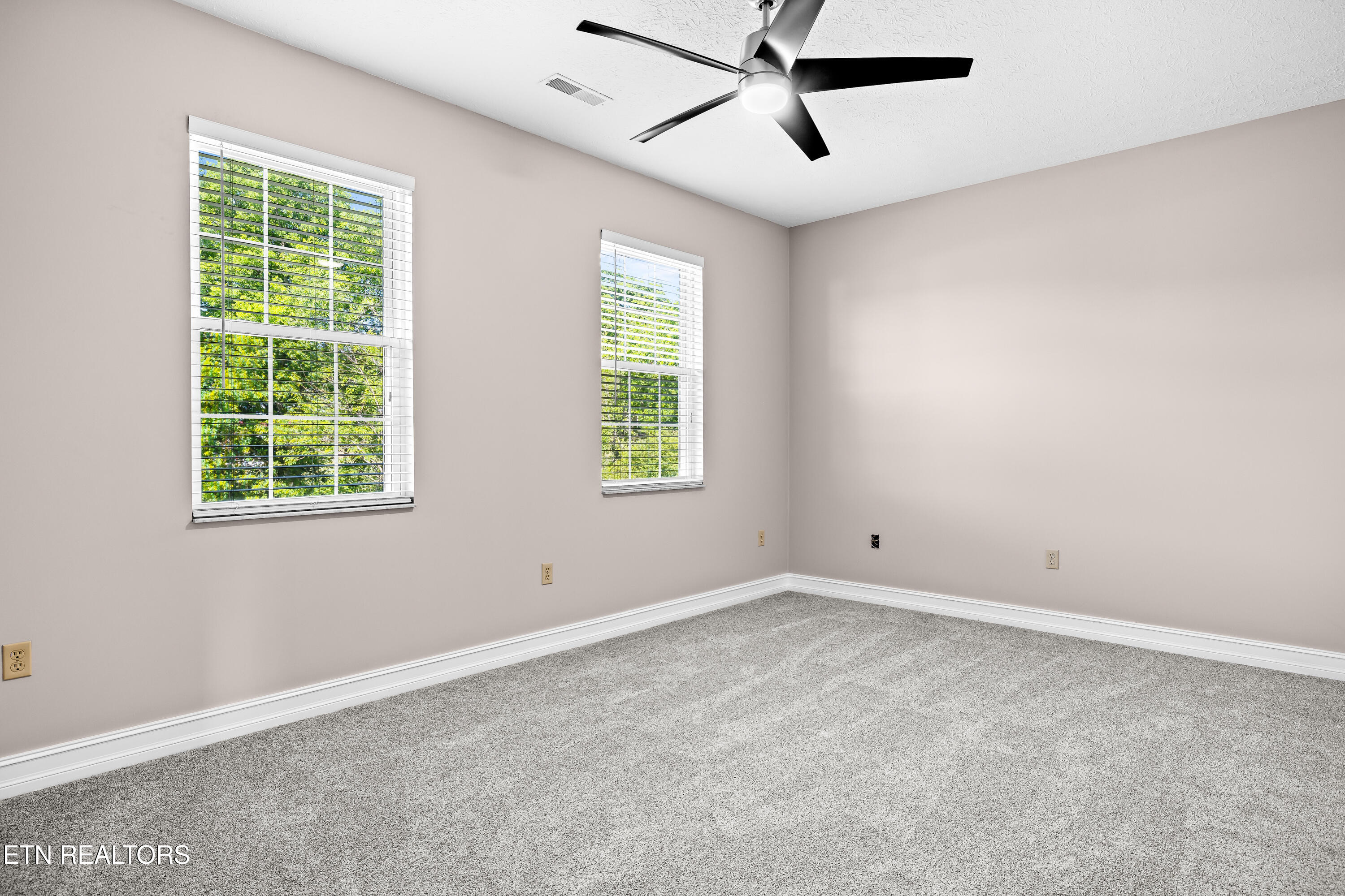 5703 Old Niles Ferry Pike Greenback TN 37742
