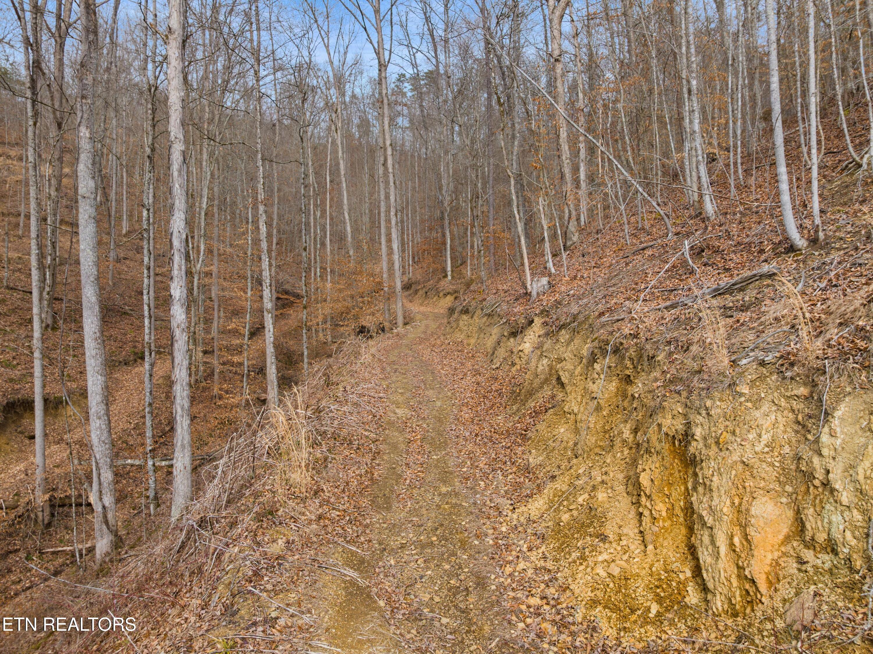 1473 State Highway 33 Tazewell TN 37879
