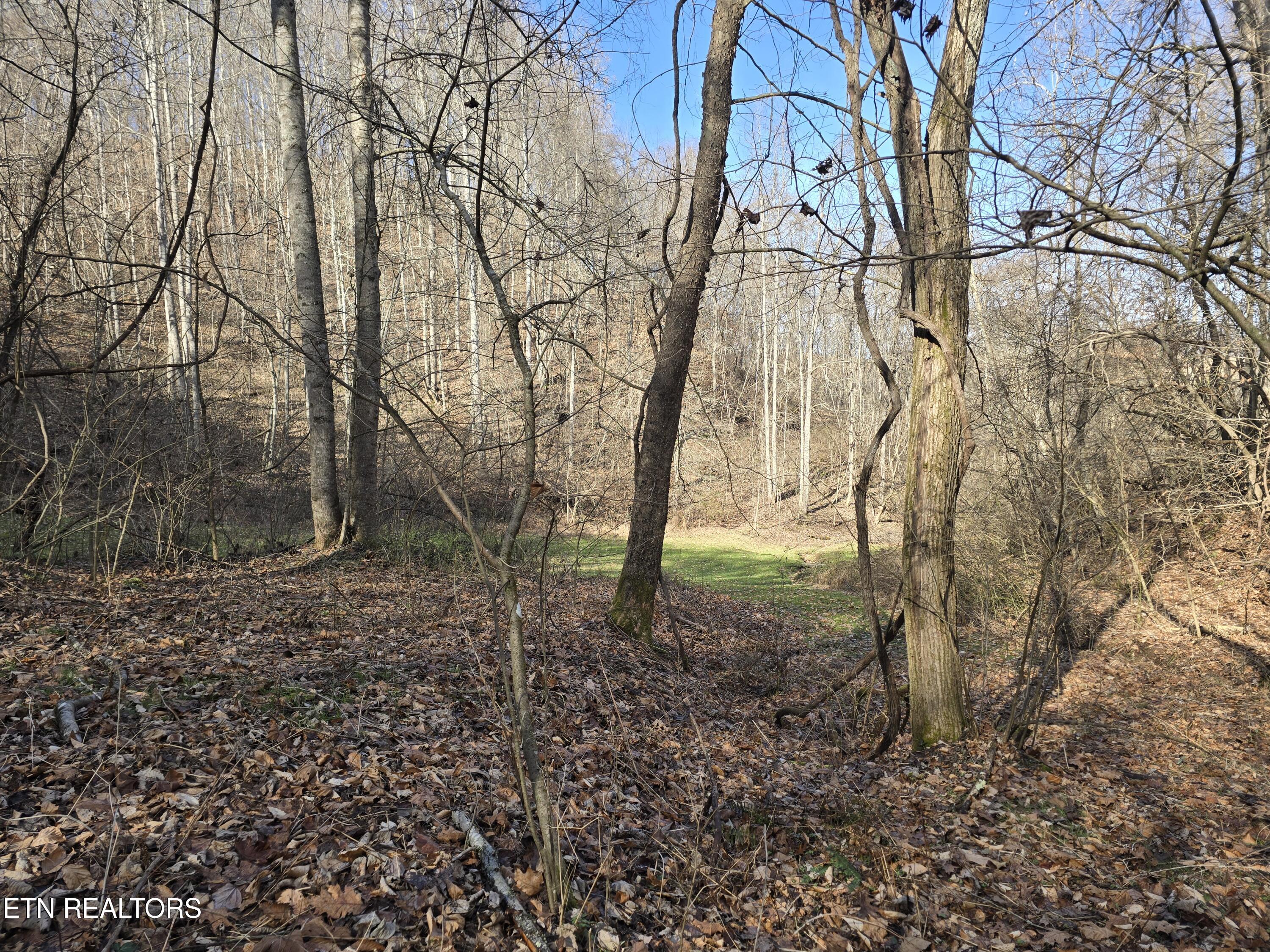 5316 Tennessee 66 Sneedville TN 37869