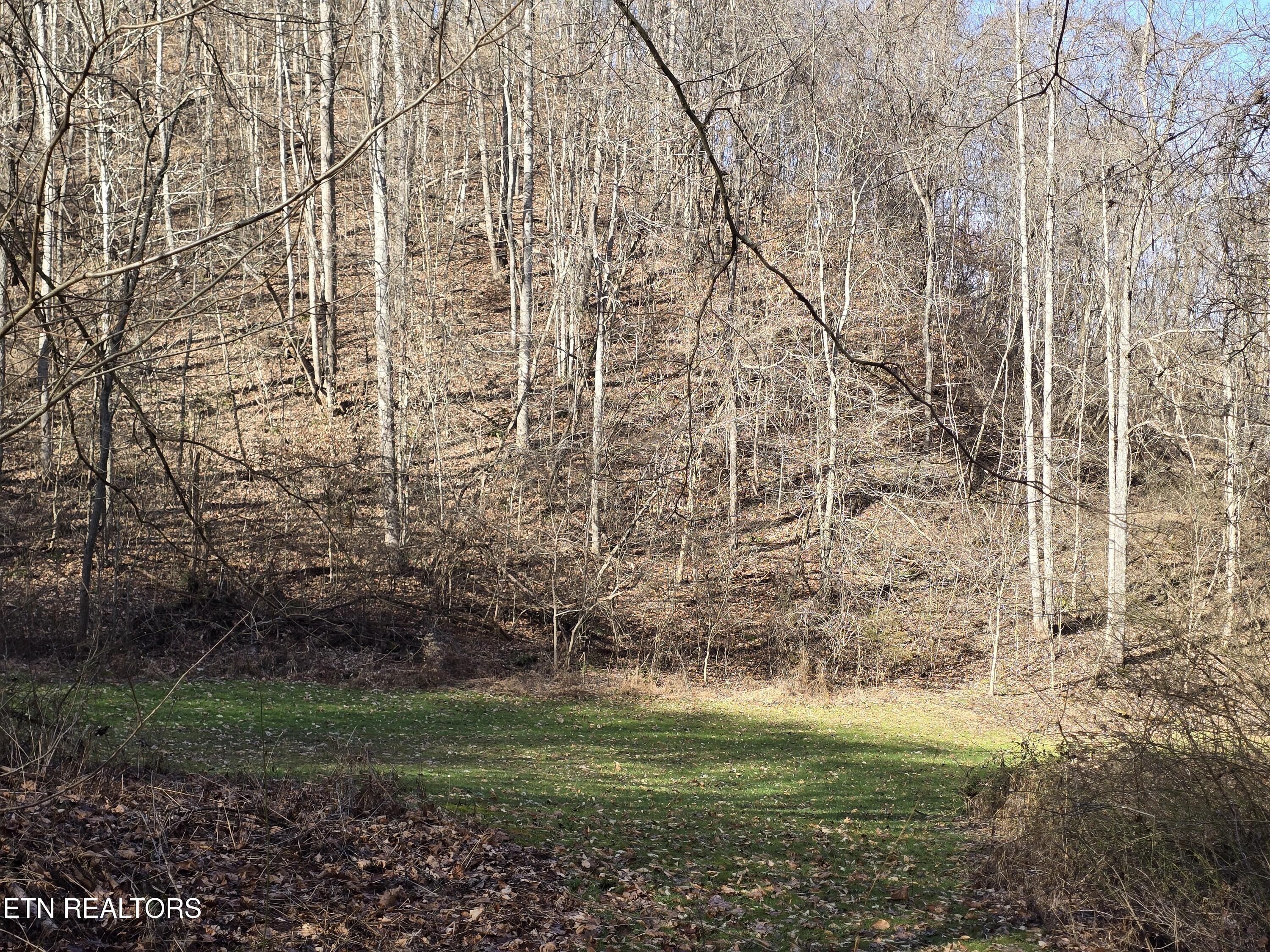 5316 Tennessee 66 Sneedville TN 37869