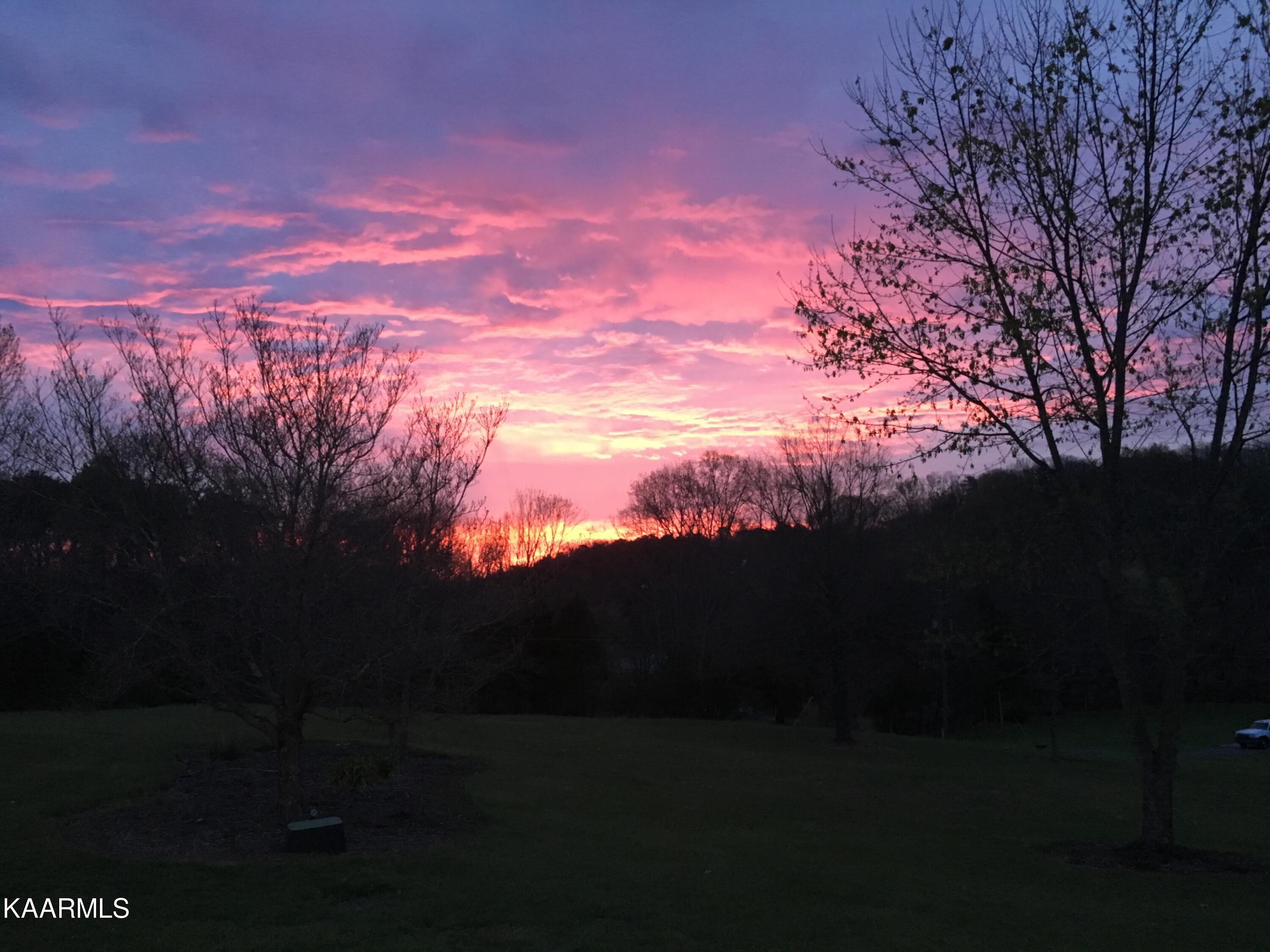 7835 Boruff Road Corryton TN 37721