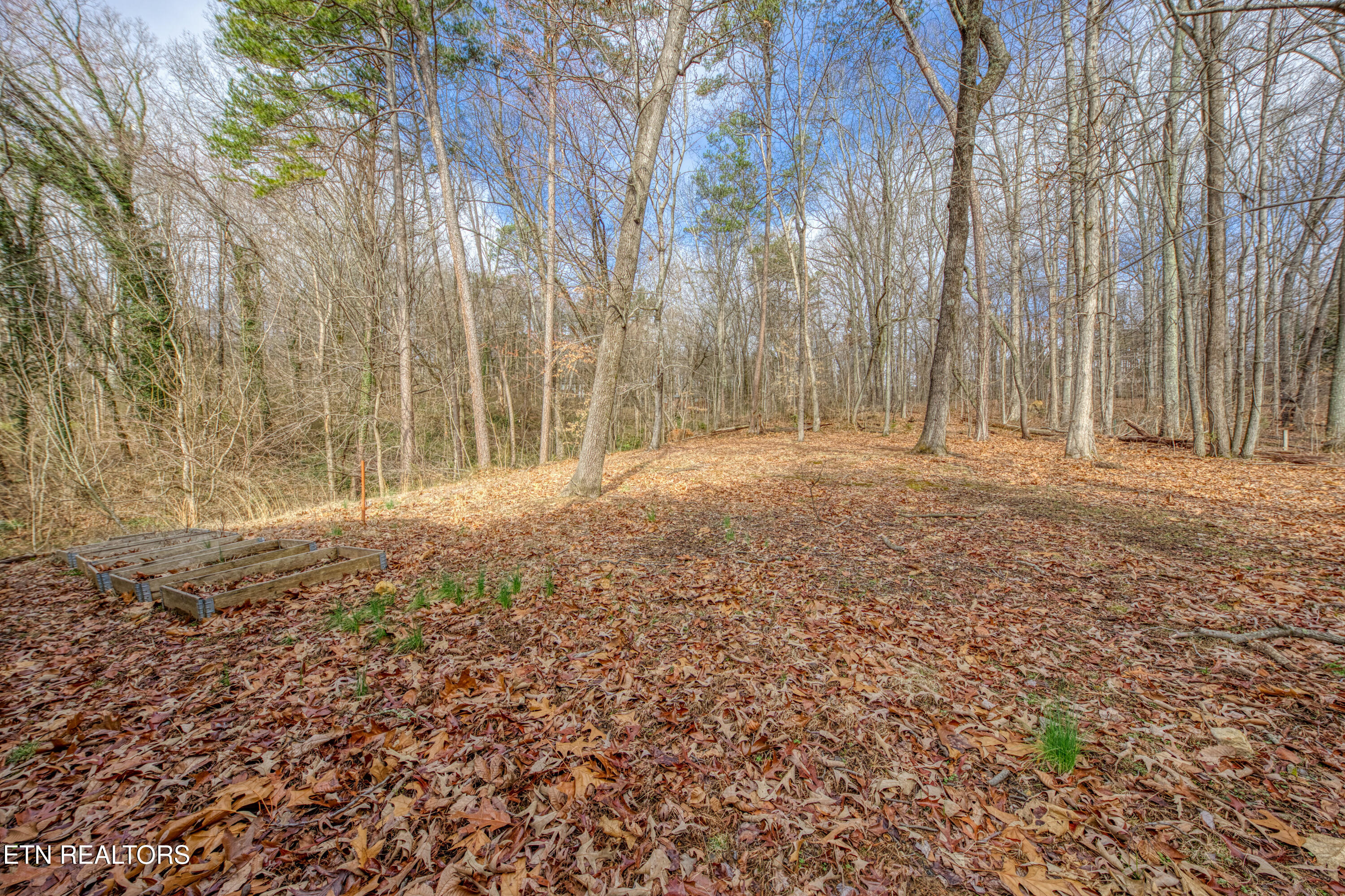 2205 Ridgecrest Drive Knoxville TN 37918