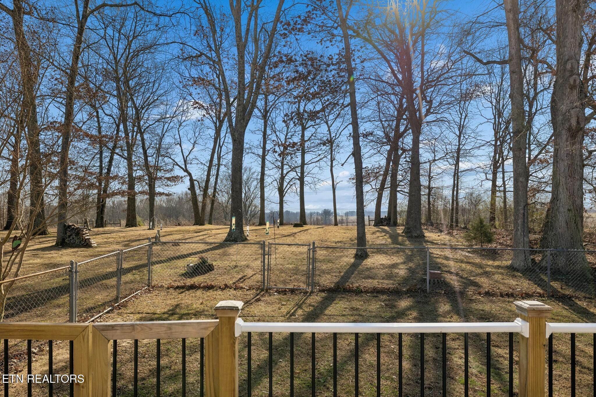 524 Willie Jarvis Road Sparta TN 38583
