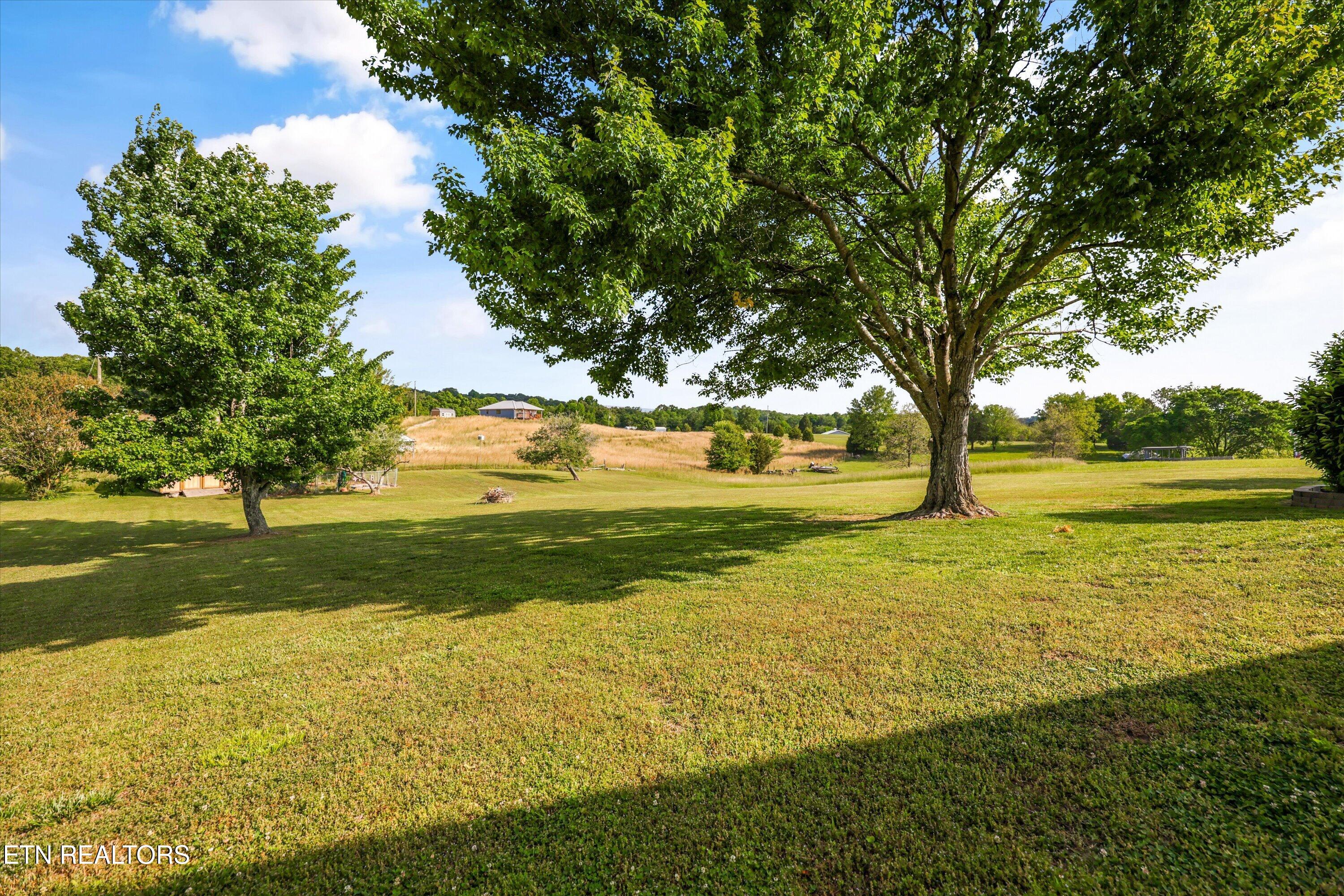1167 Sable Road Spring City TN 37381