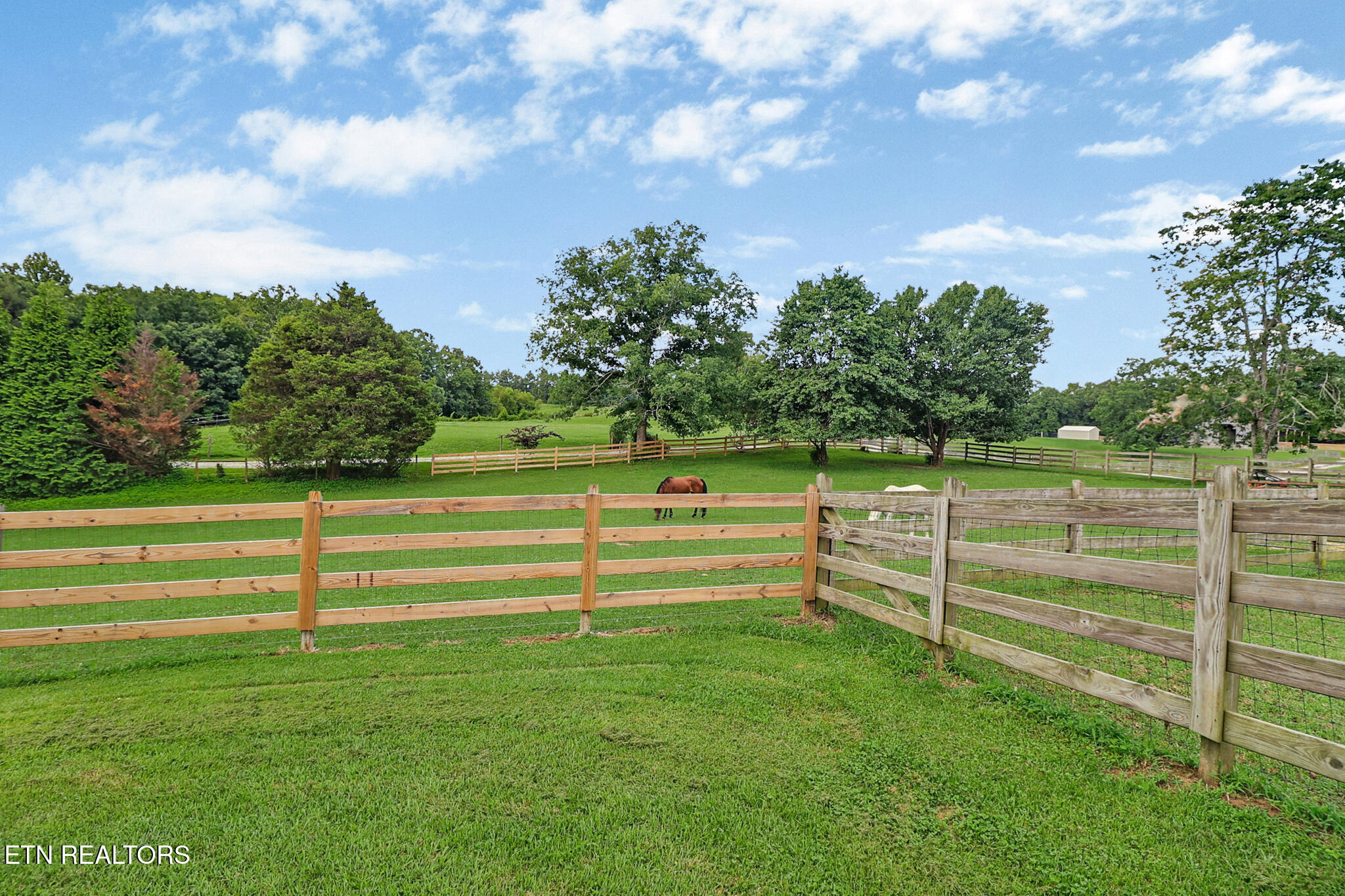 172 Taft Story Road Jamestown TN 38556