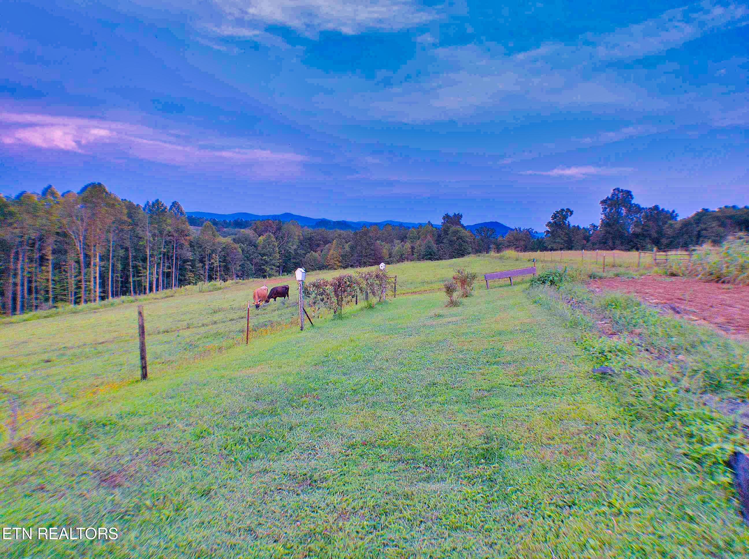 1139 Deer Lodge Highway Sunbright TN 37872