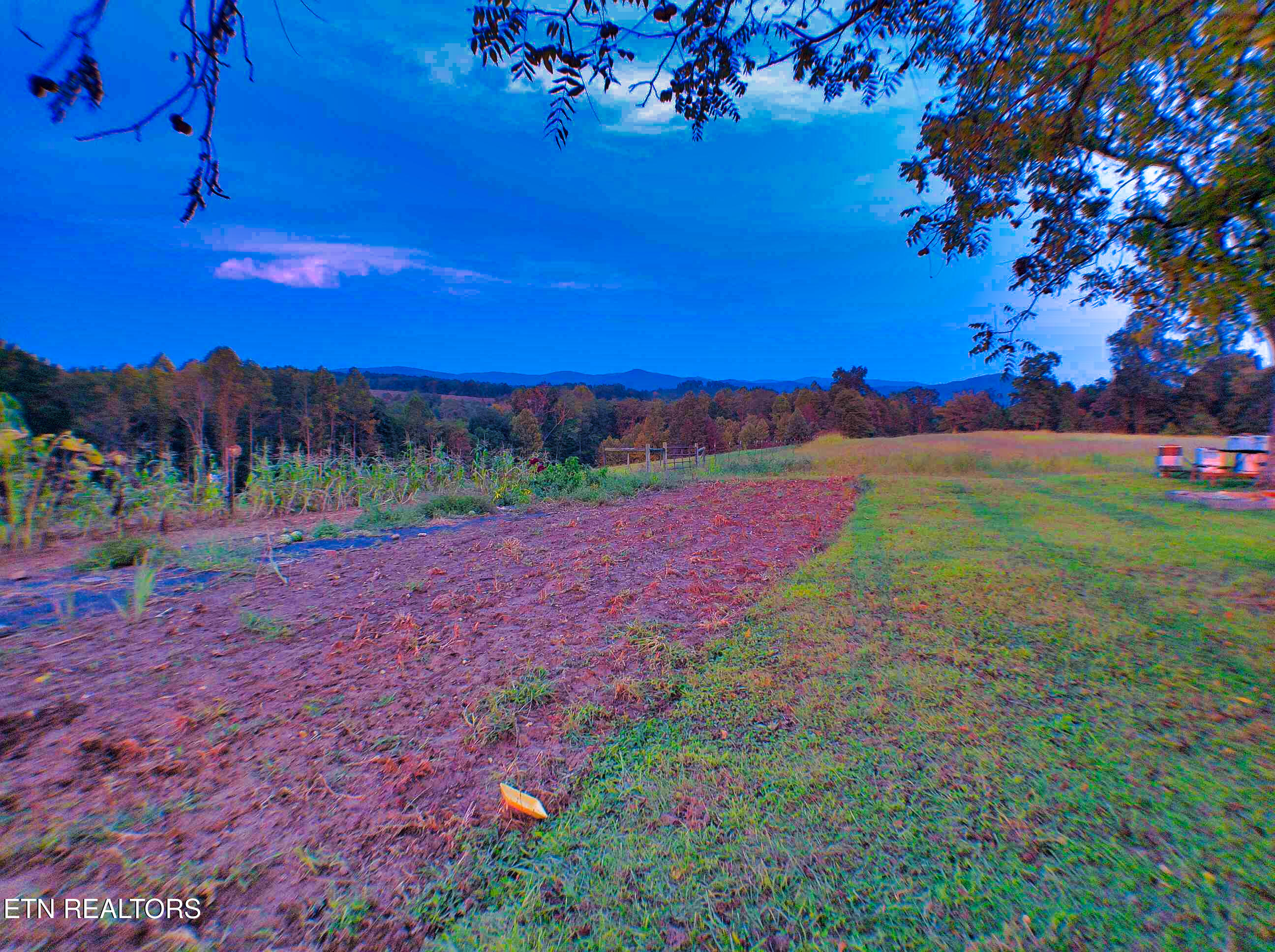 1139 Deer Lodge Highway Sunbright TN 37872