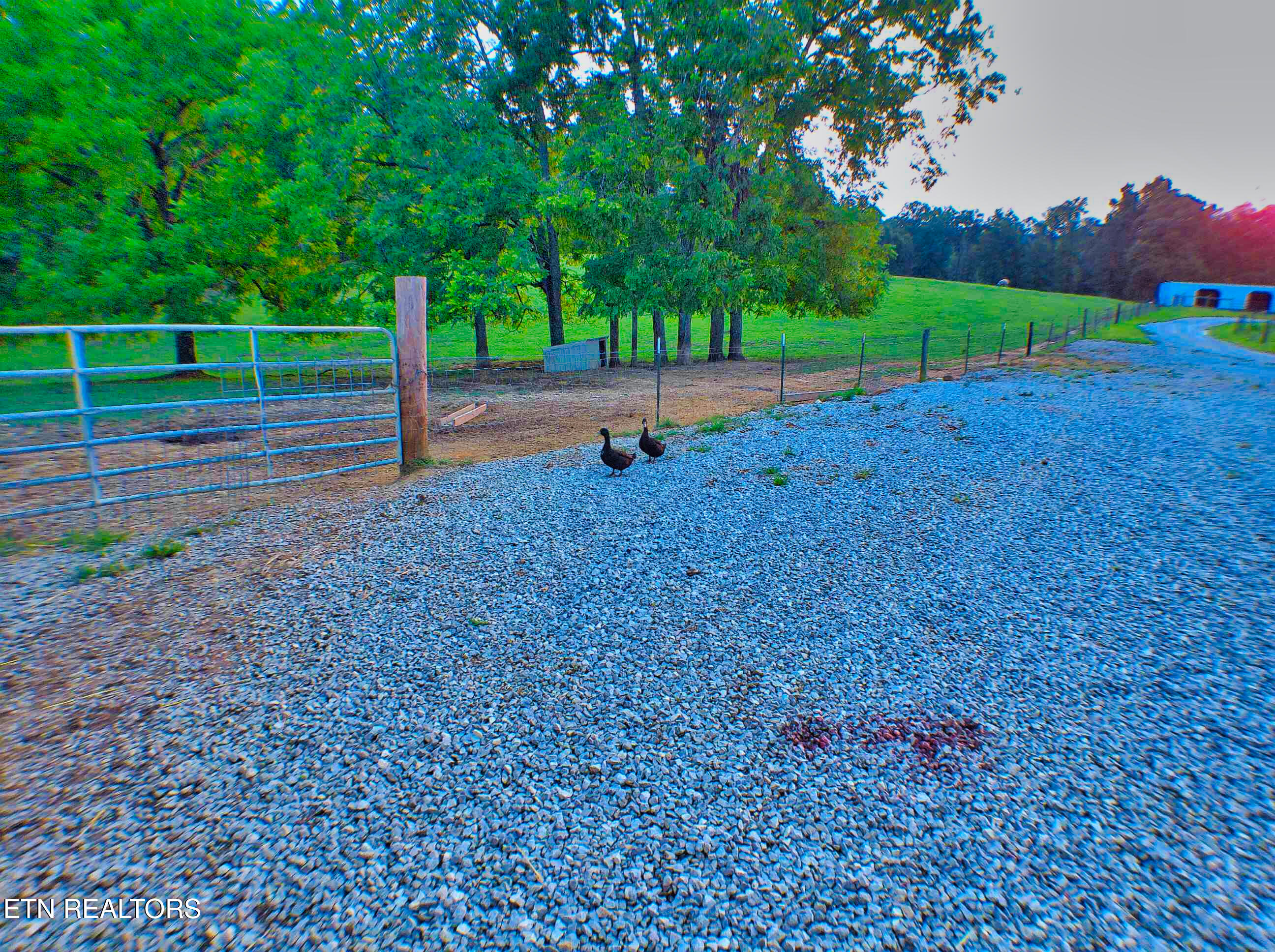 1139 Deer Lodge Highway Sunbright TN 37872