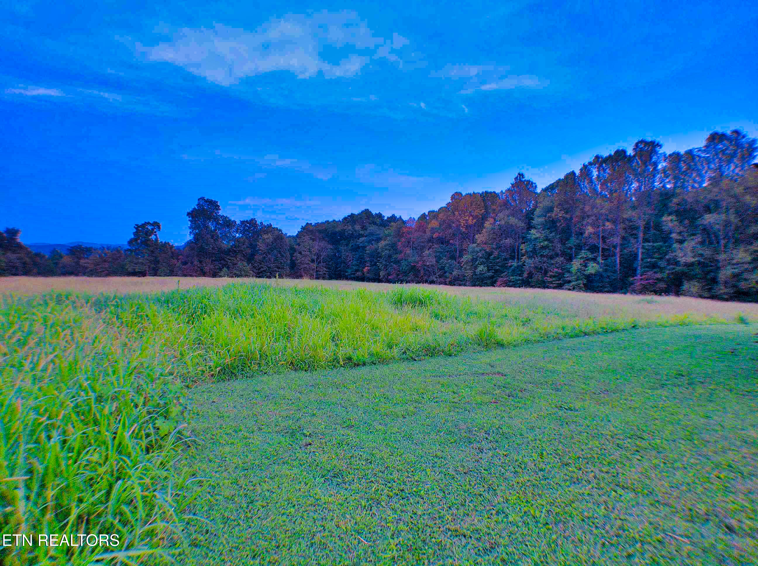 1139 Deer Lodge Highway Sunbright TN 37872