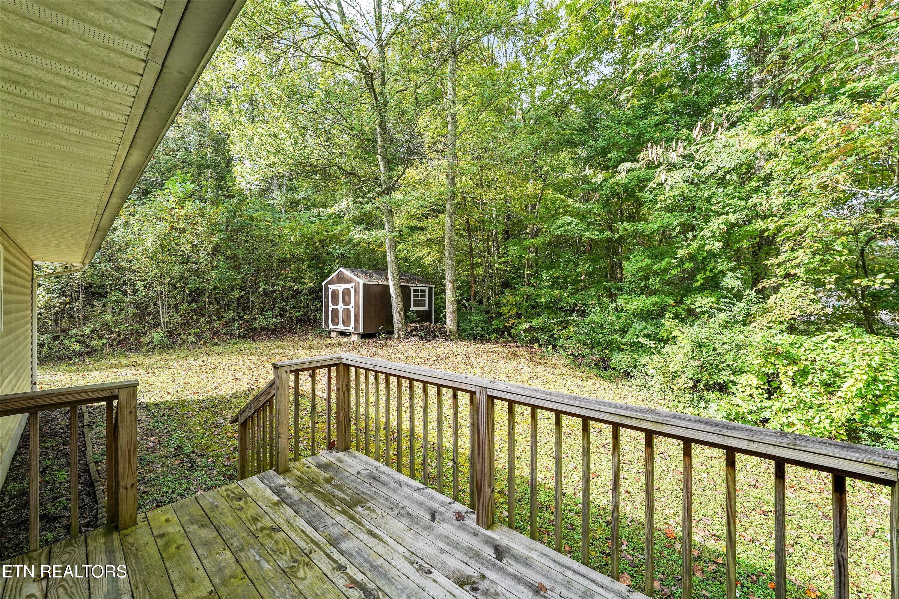 222 Disney Lane Caryville TN 37714