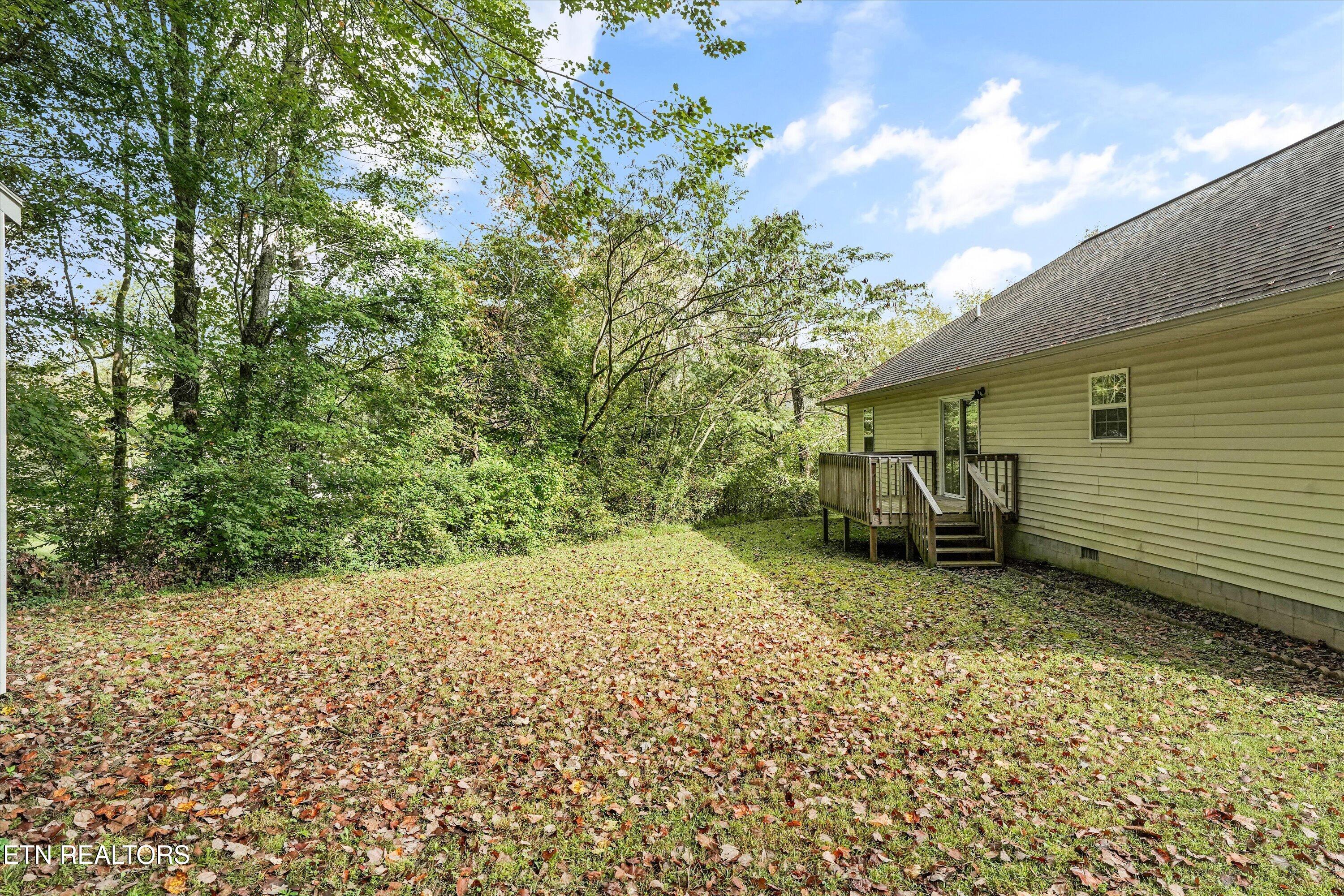 222 Disney Lane Caryville TN 37714