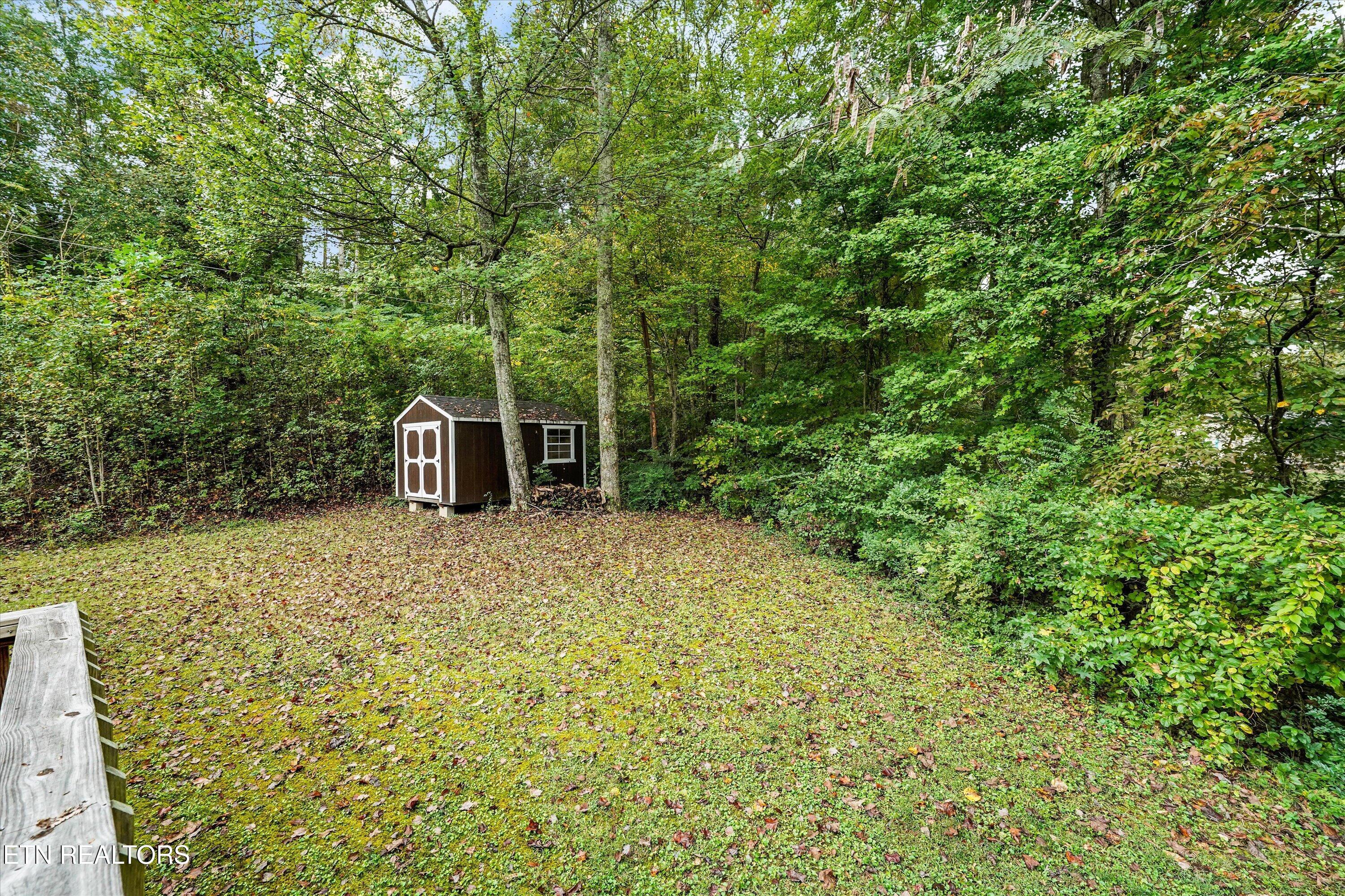 222 Disney Lane Caryville TN 37714