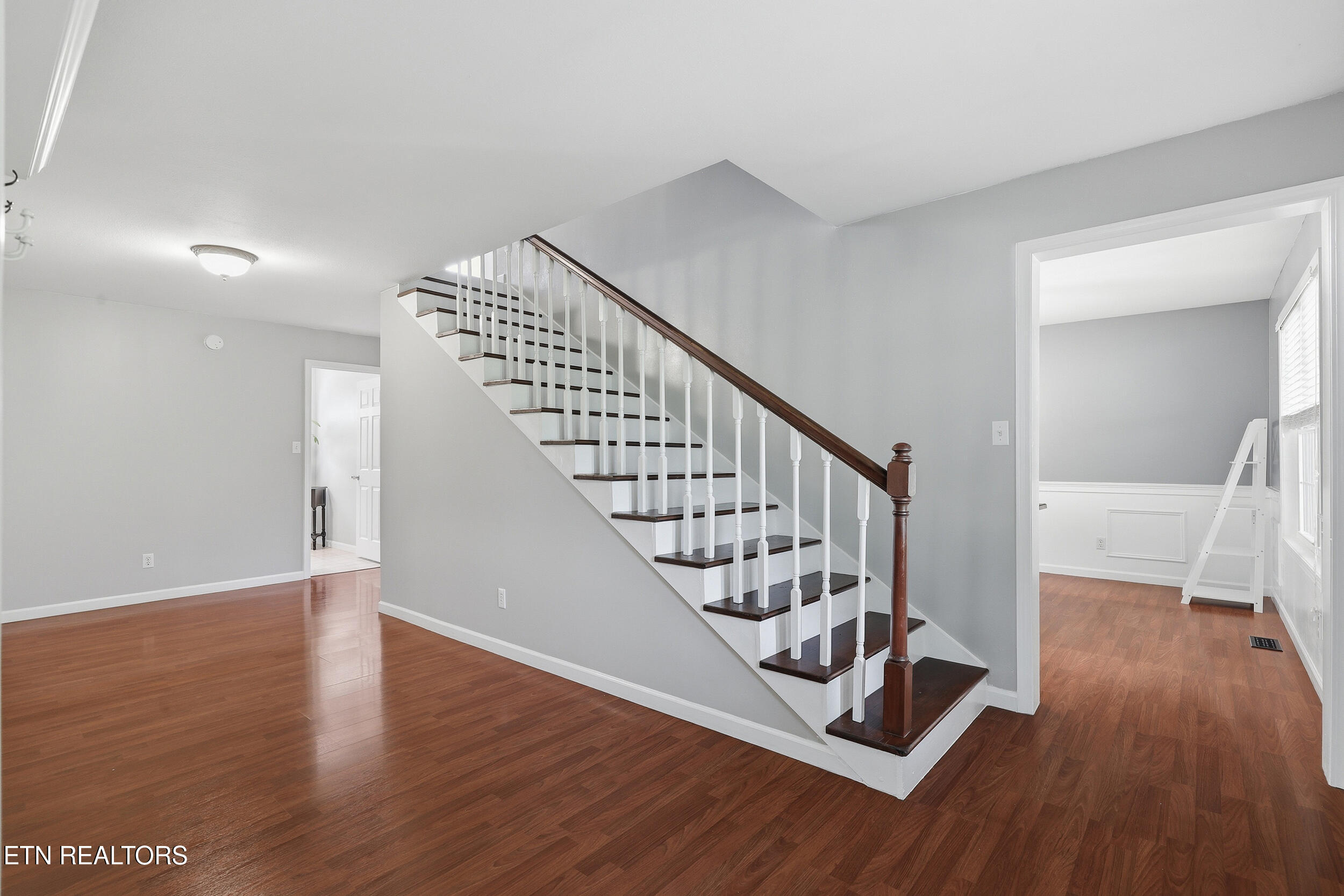 924 Sheila Court Talbott TN 37877