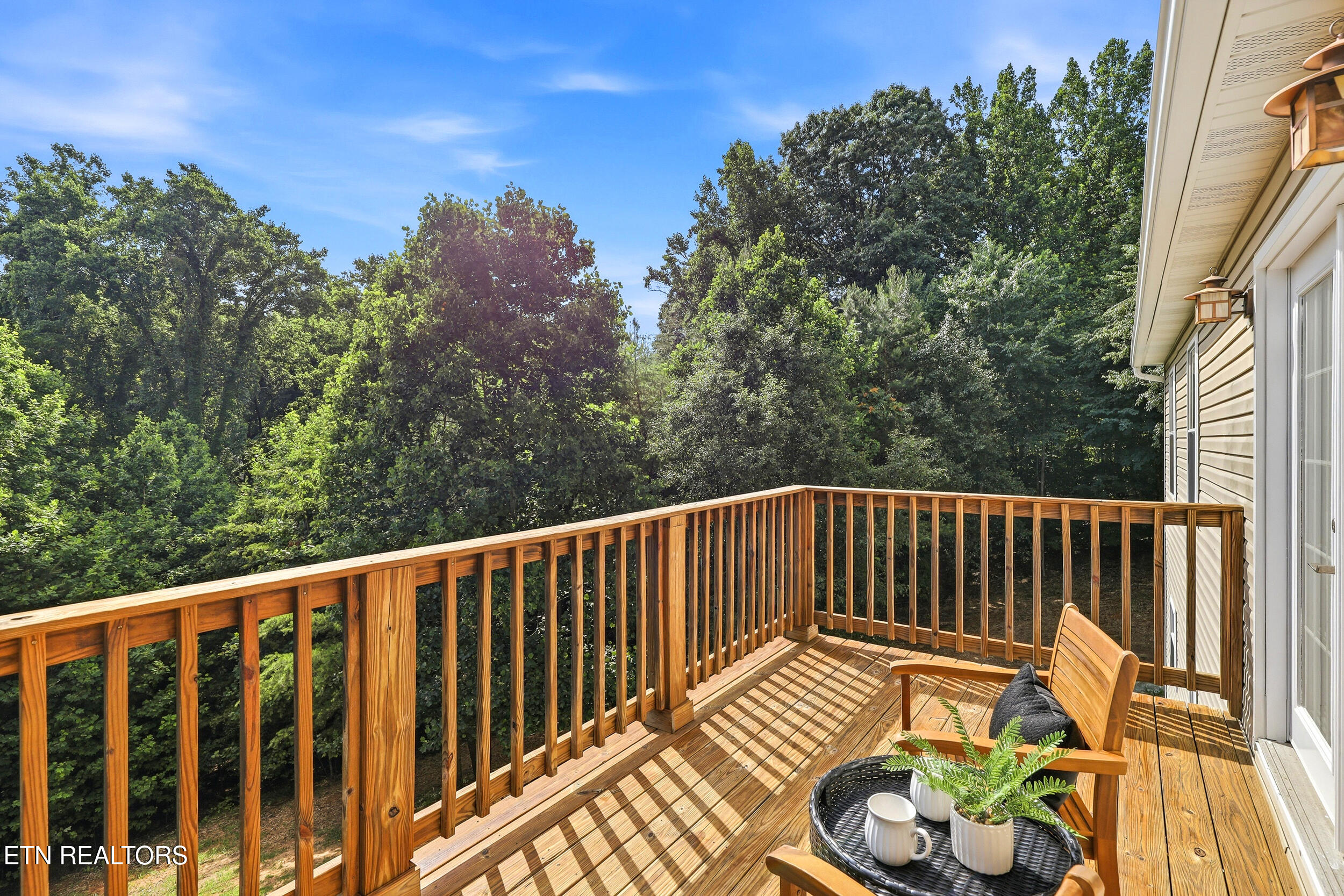 924 Sheila Court Talbott TN 37877