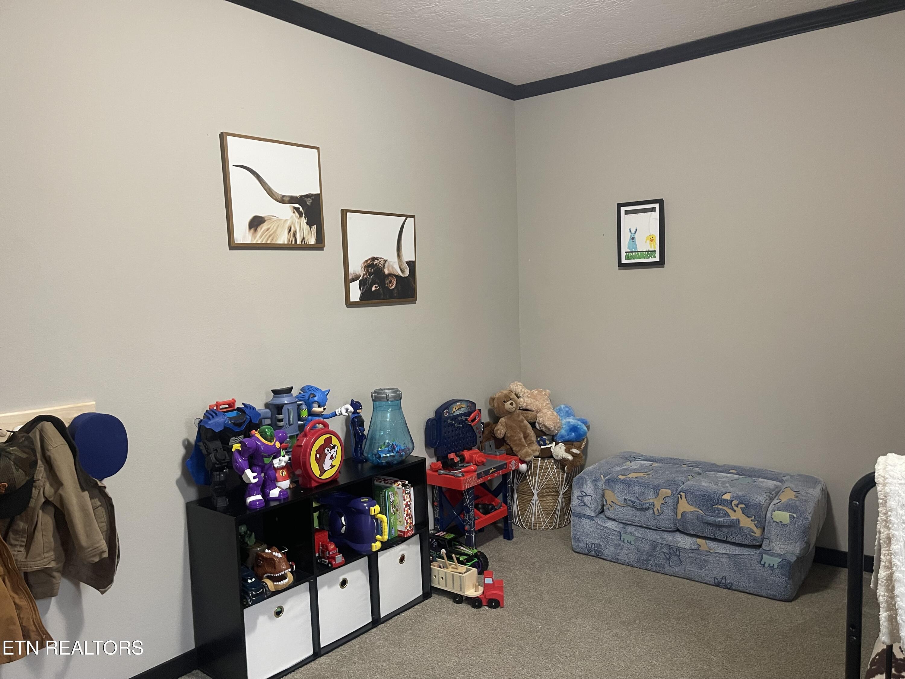 1151 Coffey Road New Tazewell TN 37825