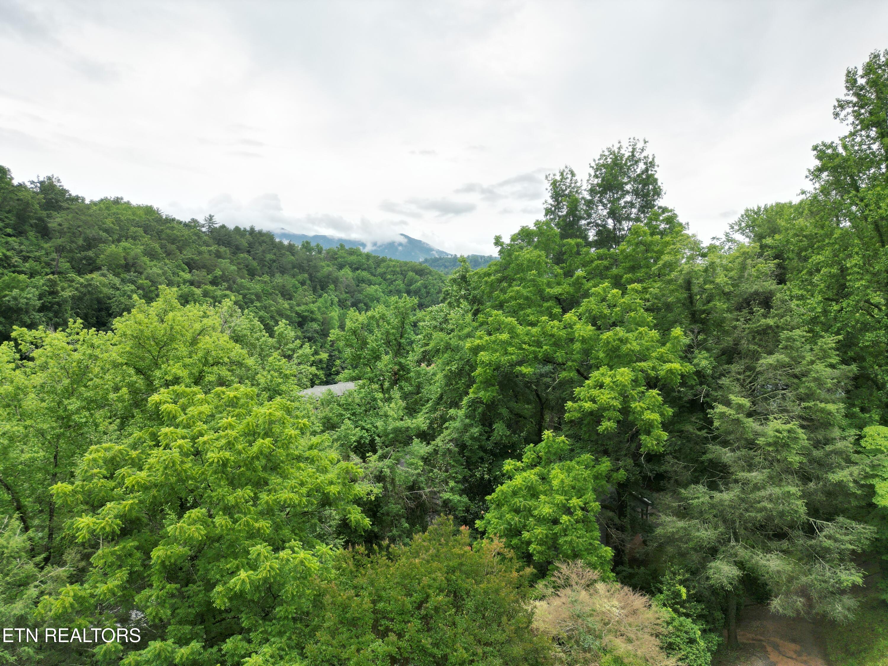 402 Laurel Avenue Gatlinburg TN 37738