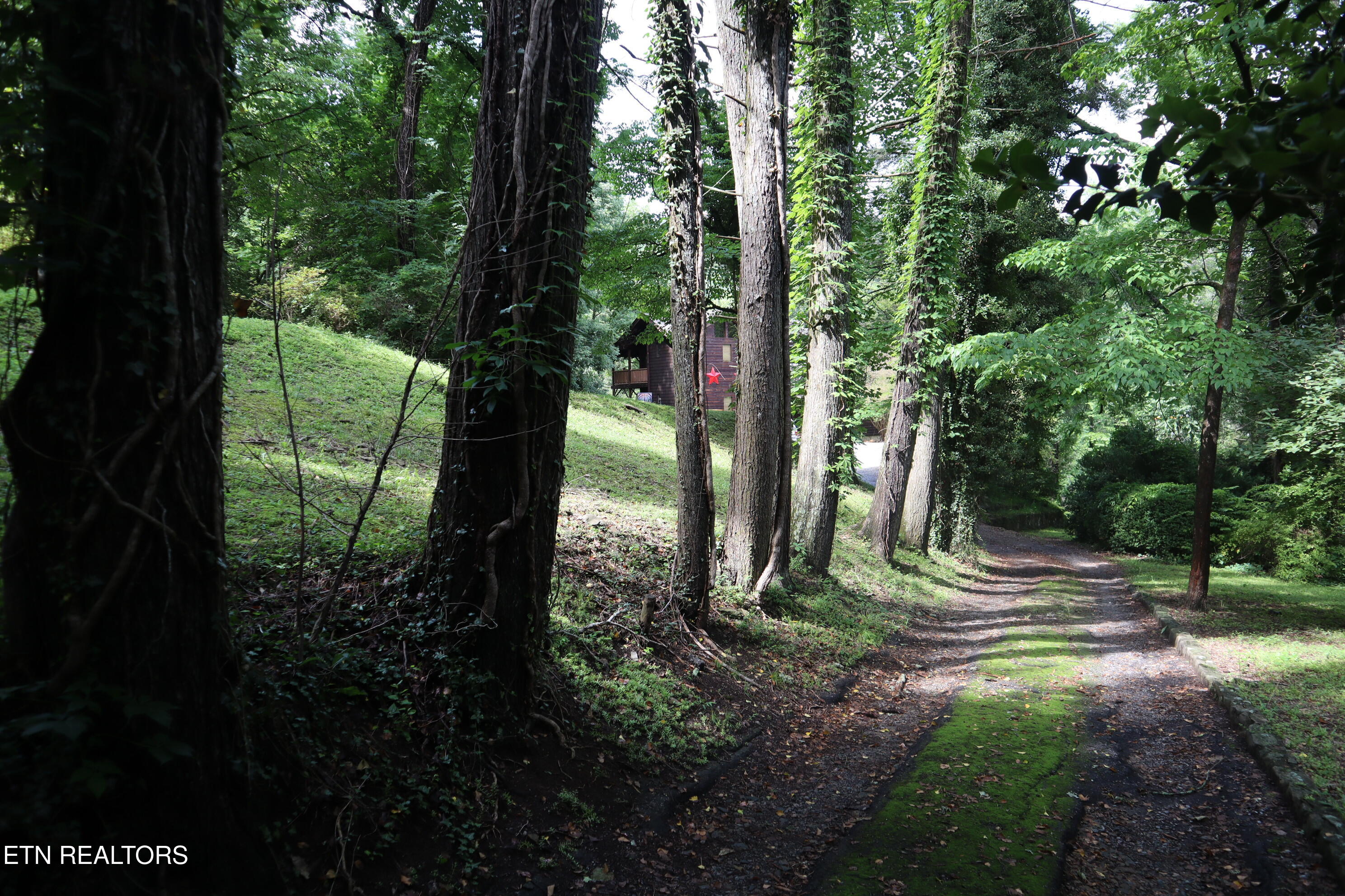402 Laurel Avenue Gatlinburg TN 37738