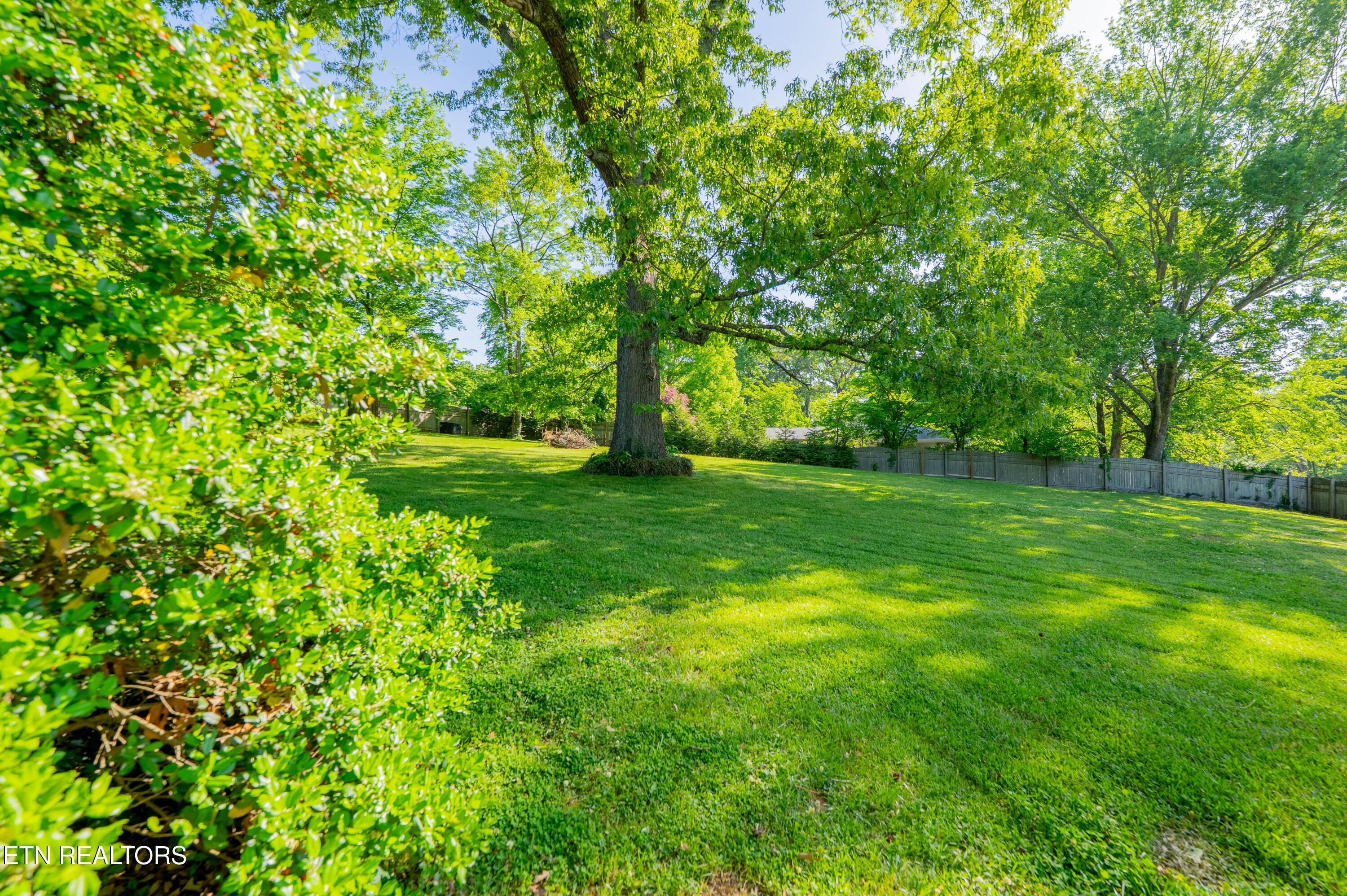 4504 Woodview Road Louisville TN 37777