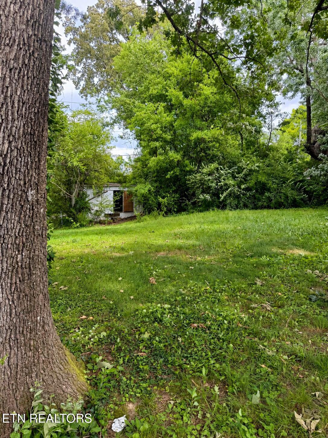717 Banks Avenue Knoxville TN 37917