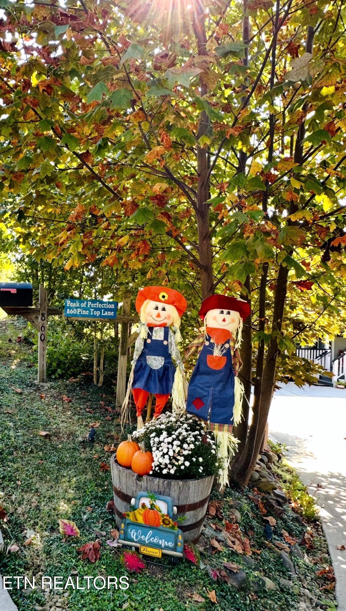 860 Pine Top Lane Gatlinburg TN 37738