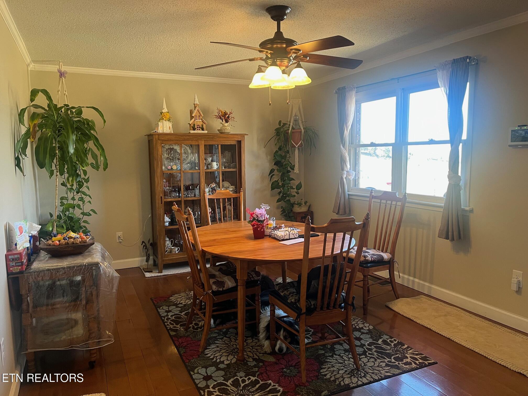 235 Parliament Road Harrogate TN 37752