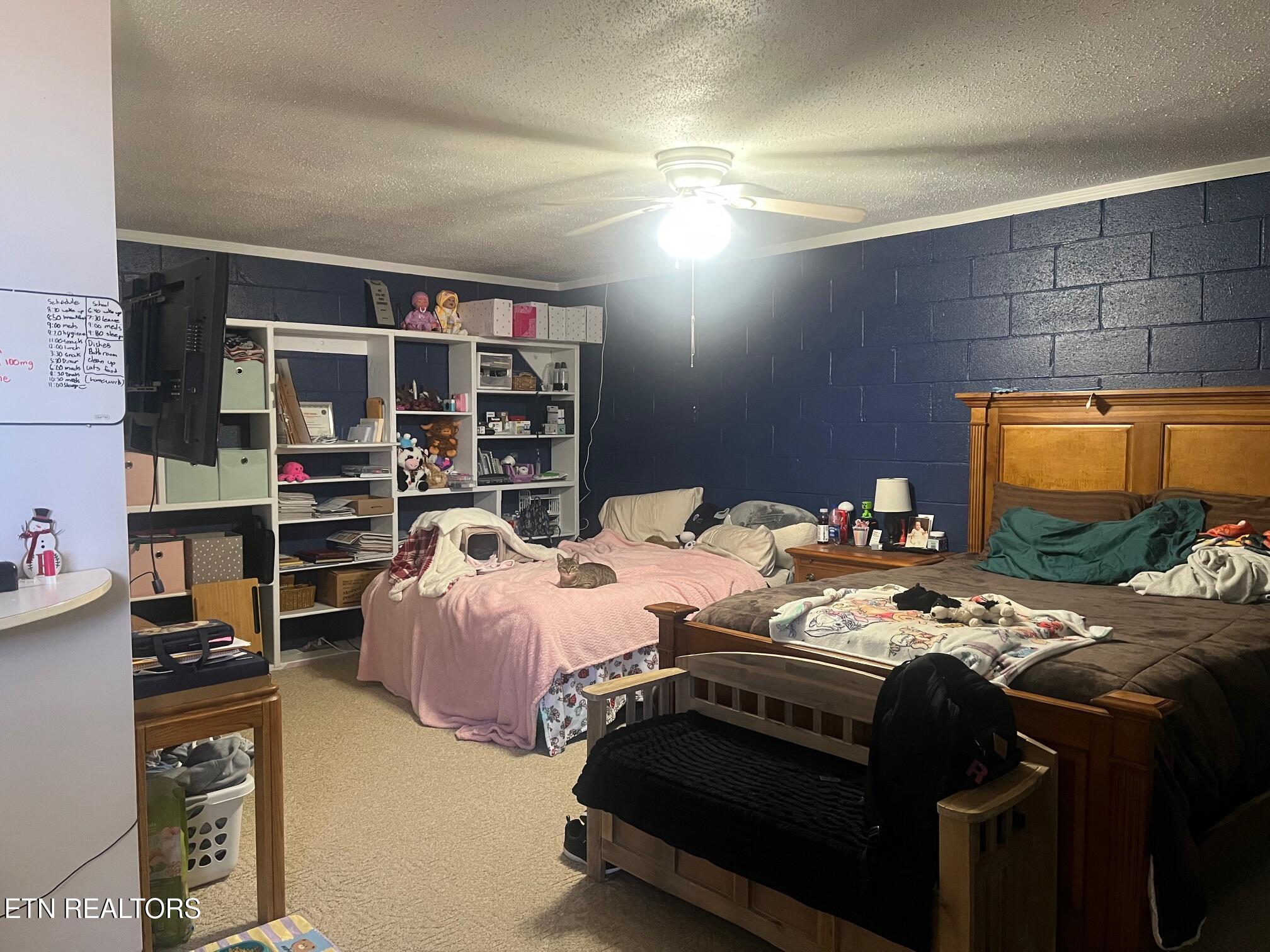 235 Parliament Road Harrogate TN 37752