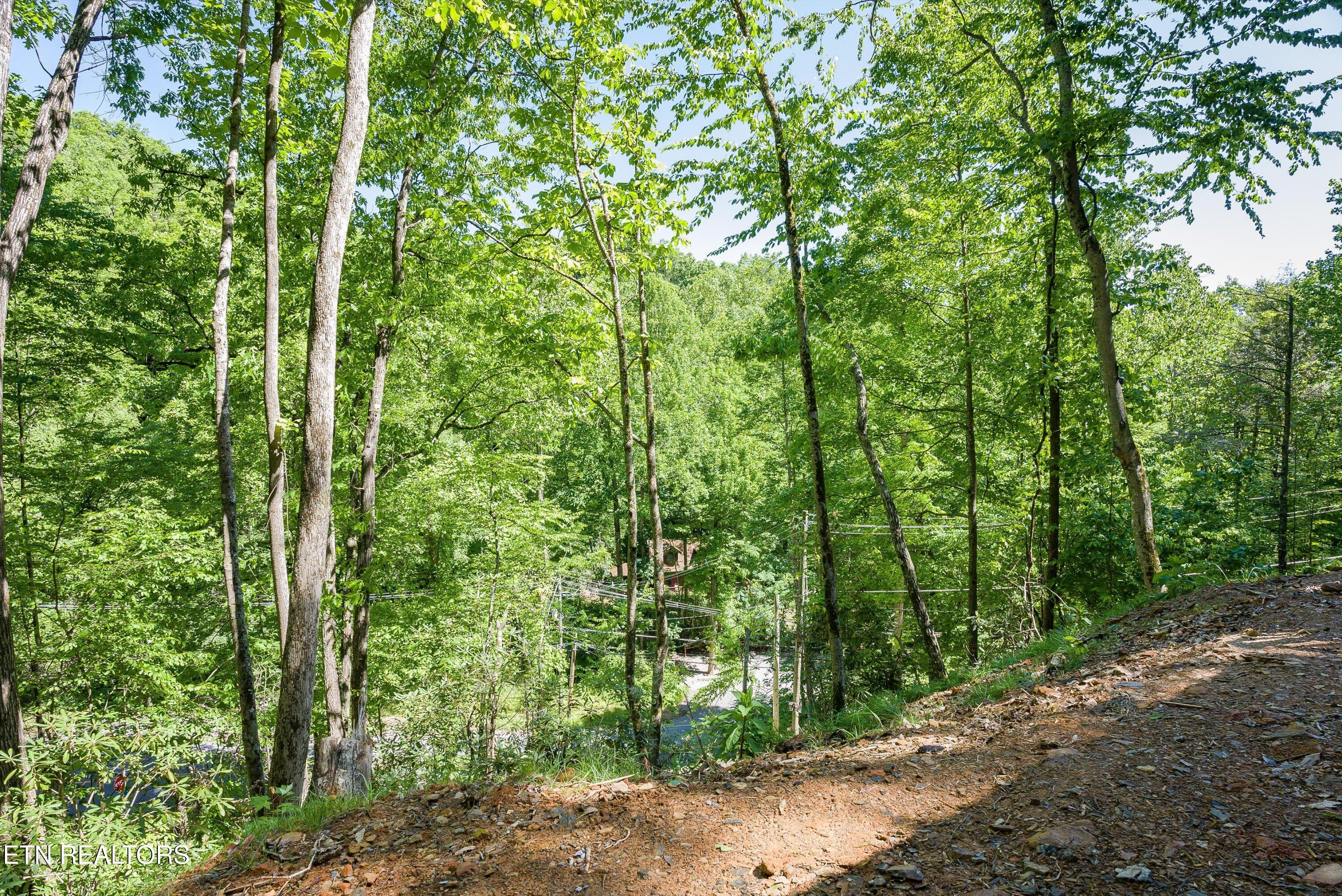 983 Stans Road Gatlinburg TN 37738