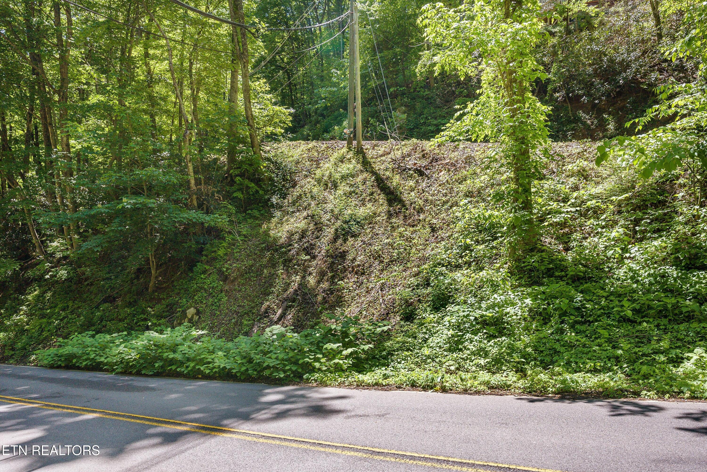 983 Stans Road Gatlinburg TN 37738
