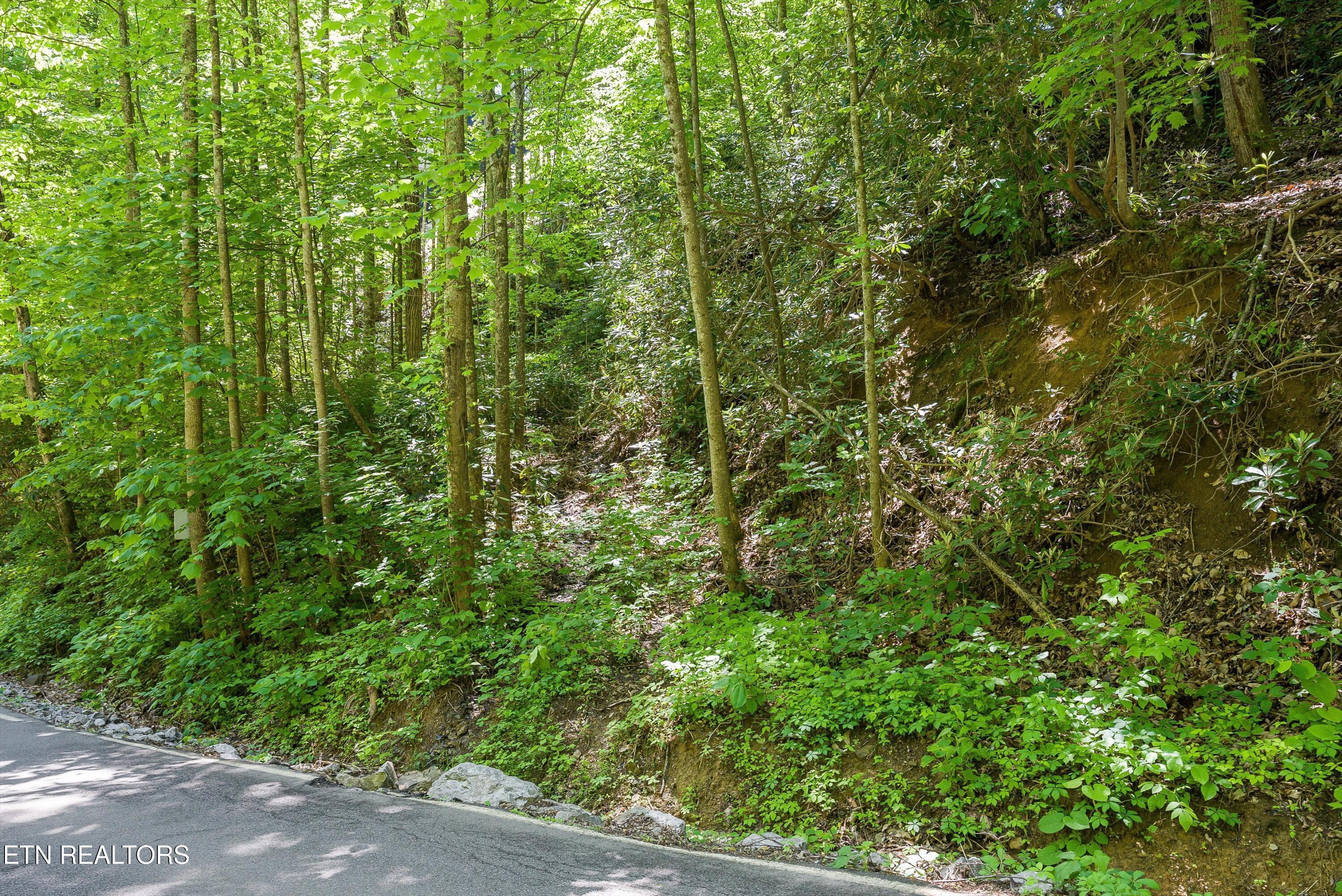 983 Stans Road Gatlinburg TN 37738