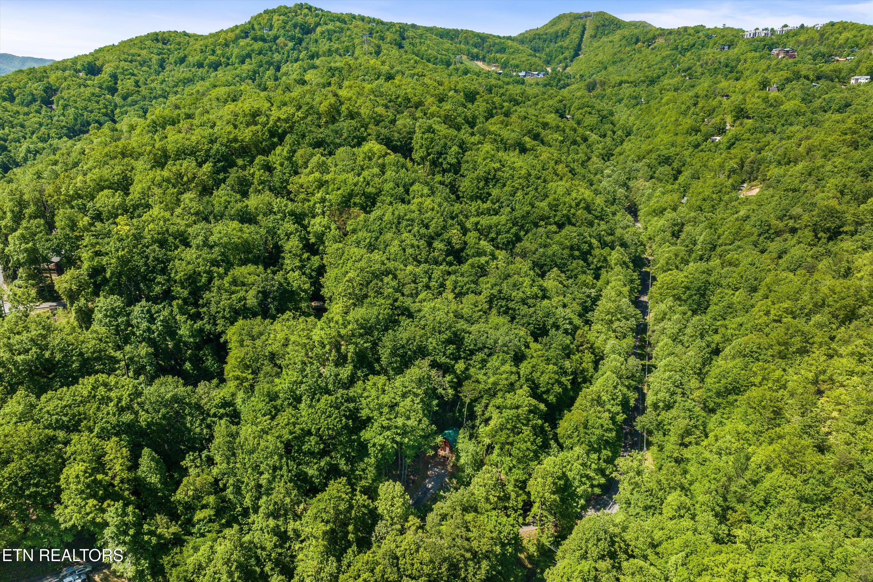 983 Stans Road Gatlinburg TN 37738